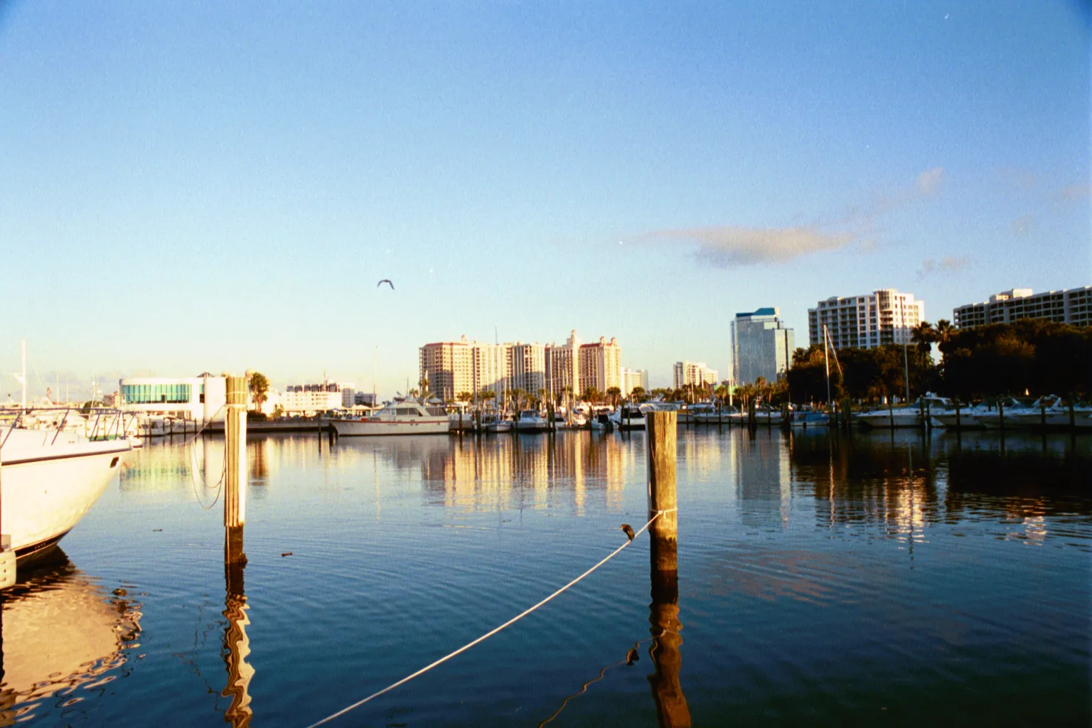 Bayfront Park Marina, Sarasota, FL.