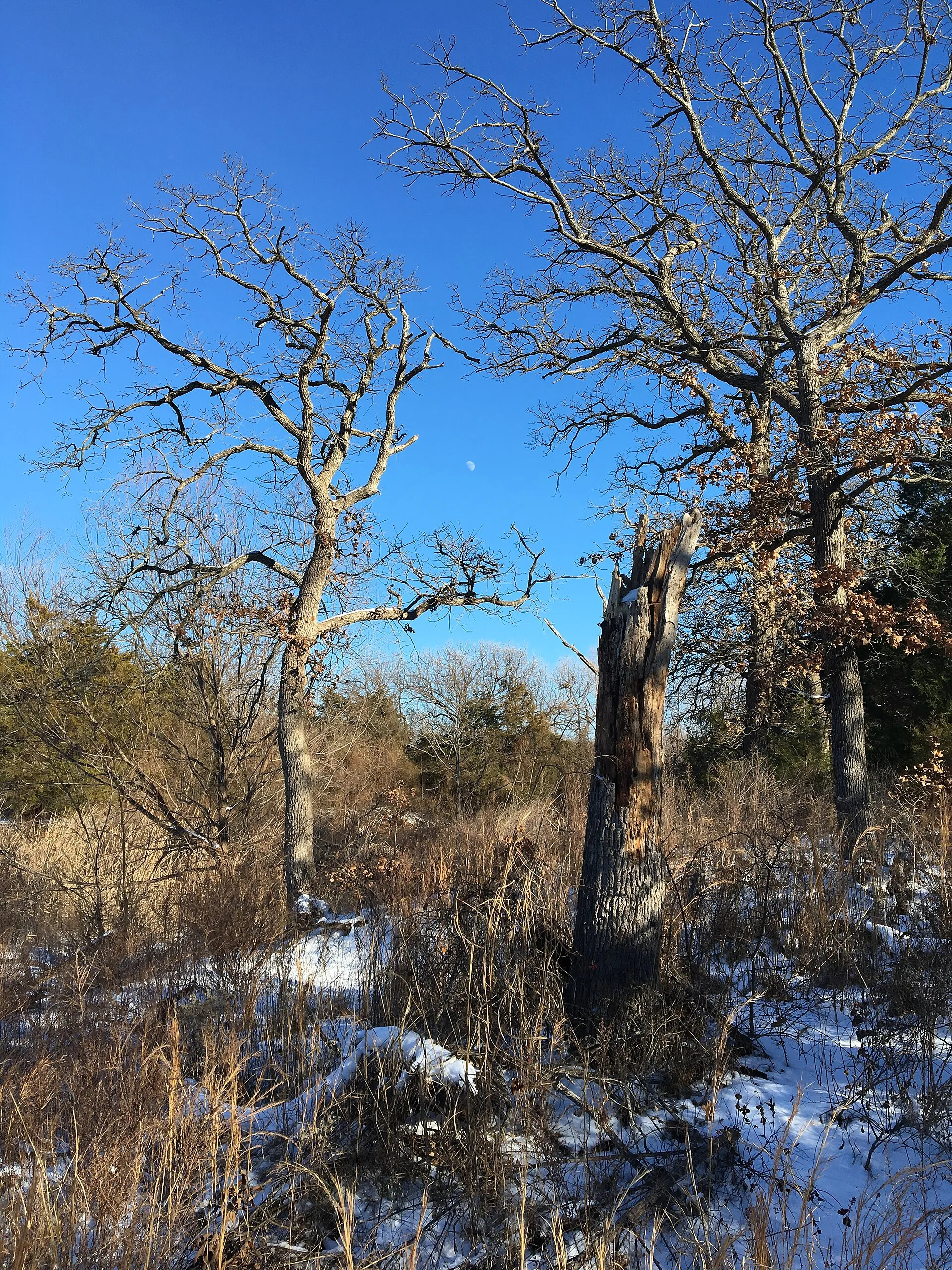 A January cold front with snowfall at Arcadia Lake, Edmond, Oklahoma.