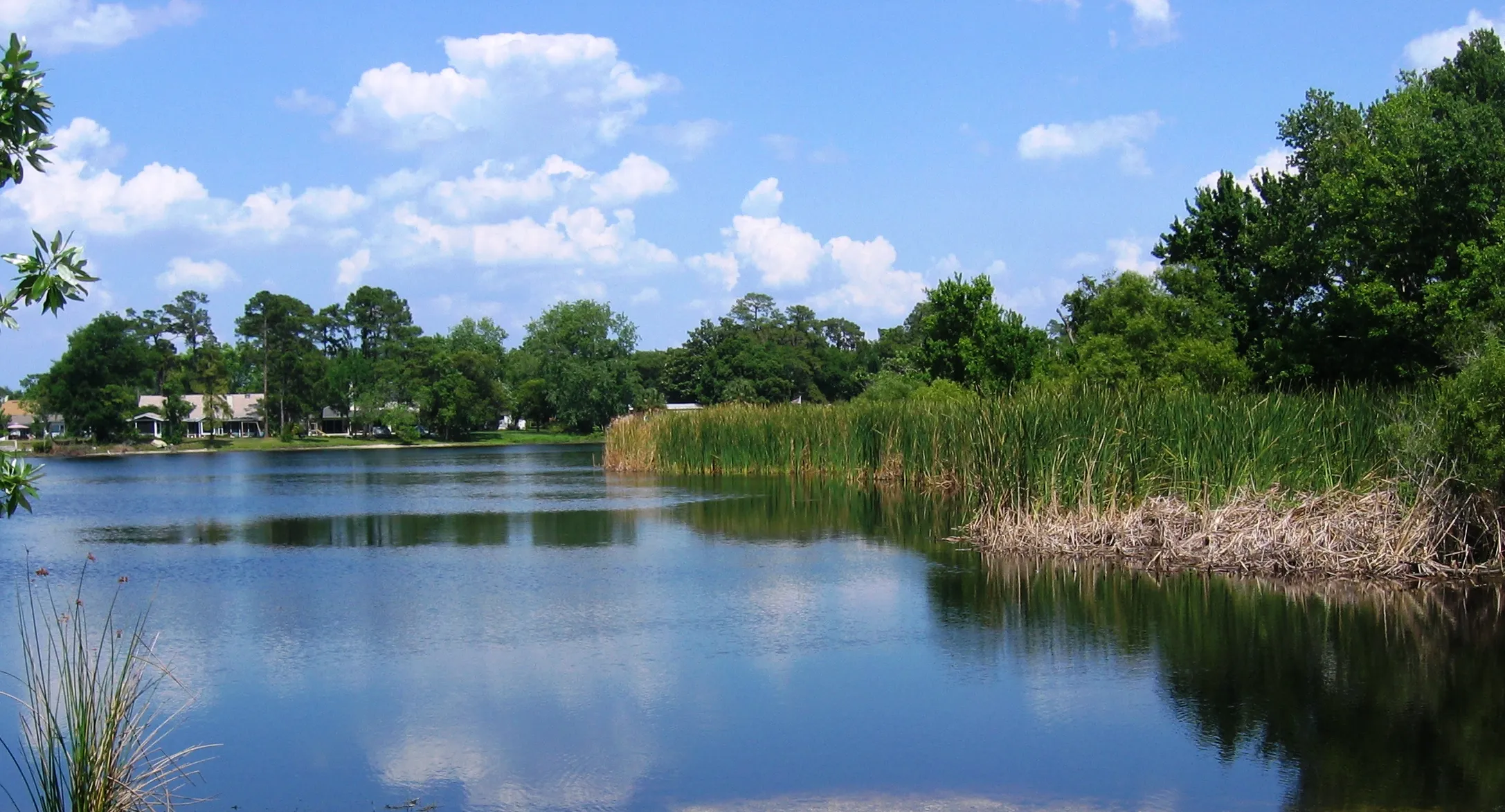 North Triplet Lake from Secret Lake Park, Casselberry