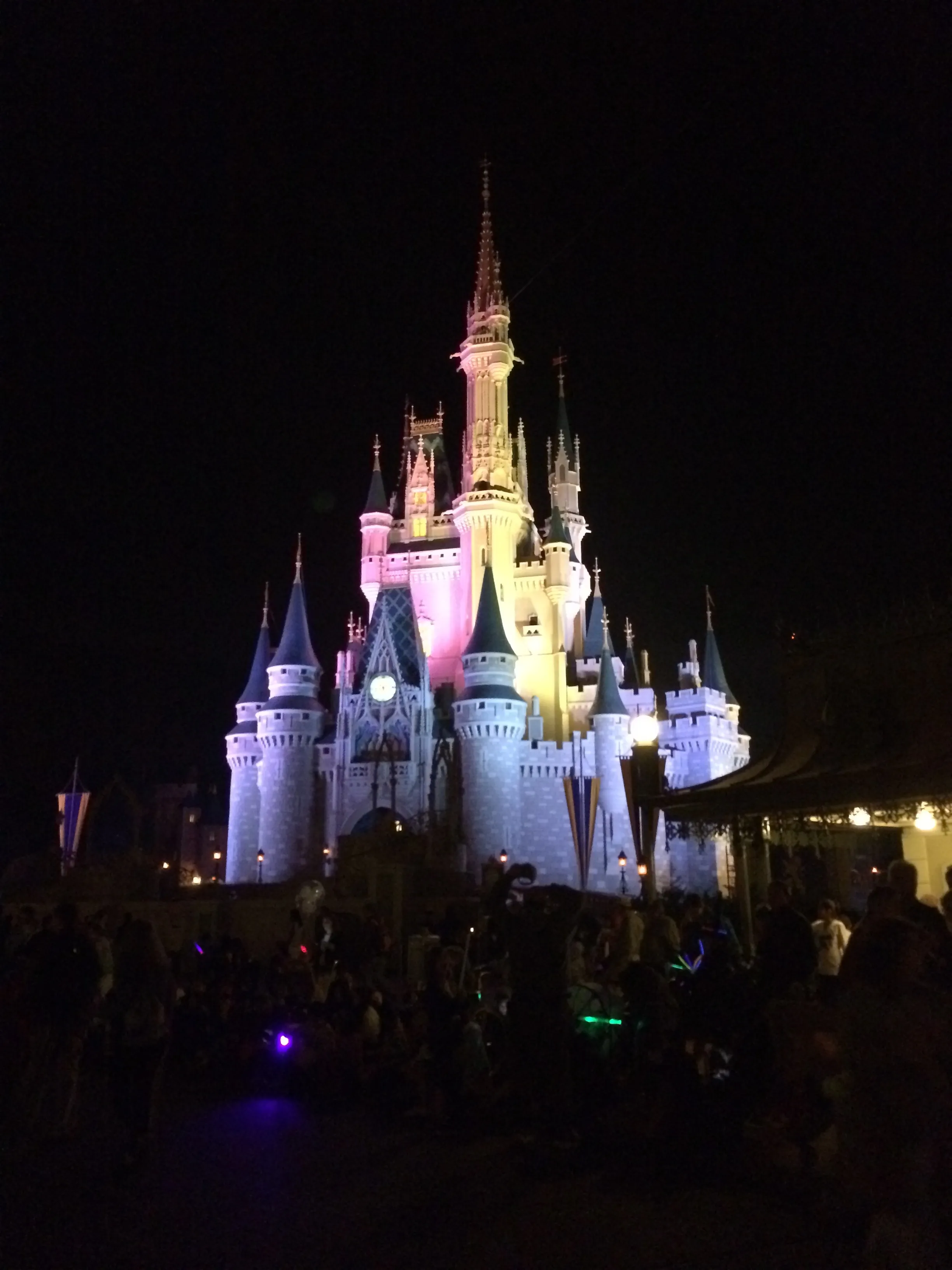A picture of Cinderella's Castle