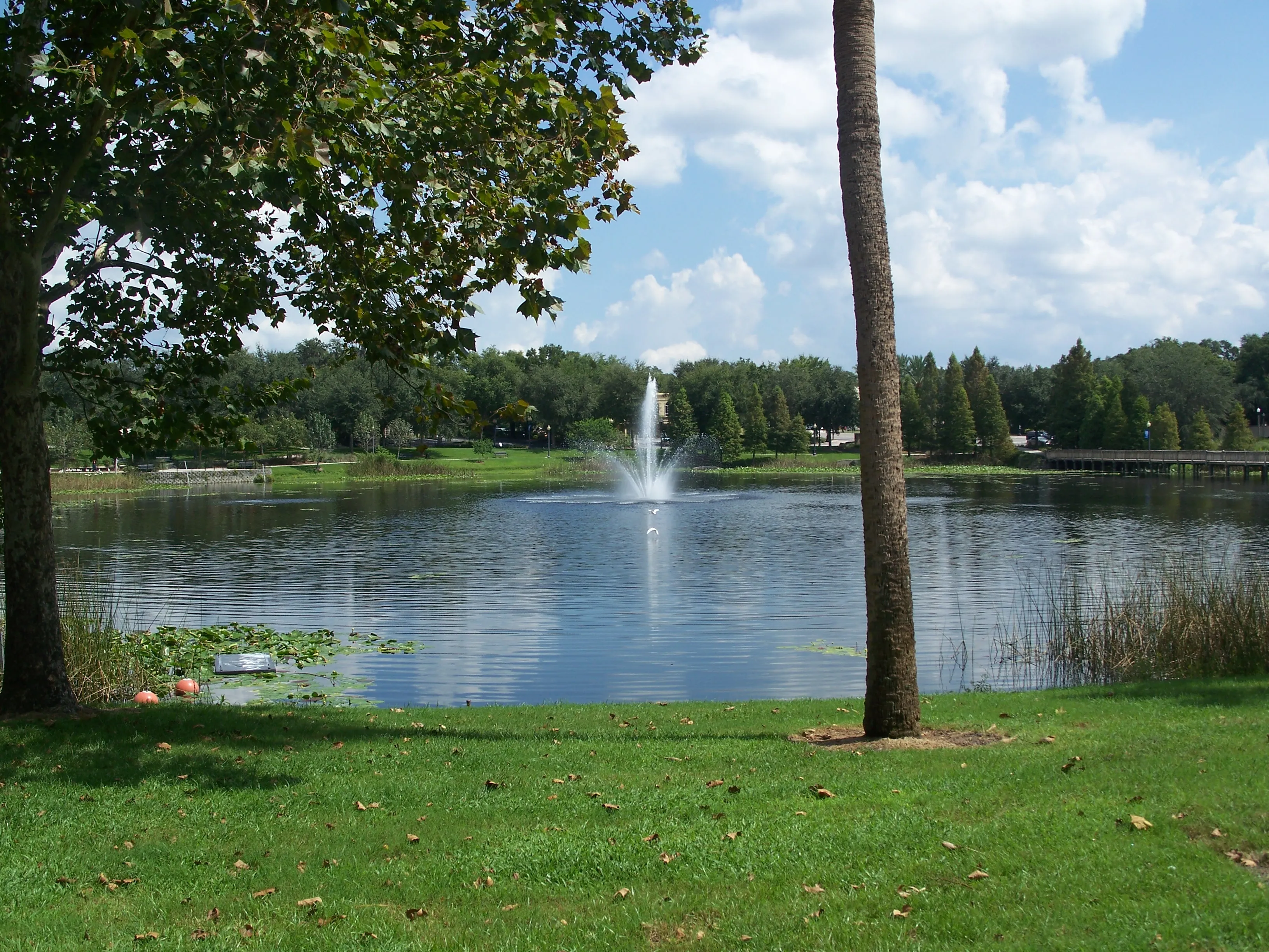 Lake Lily, in Maitland, Florida