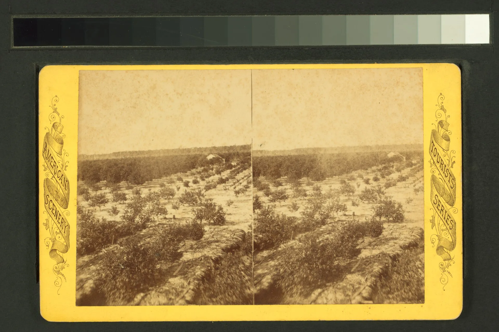 Belain Grove, Sanford, Florida (historic)