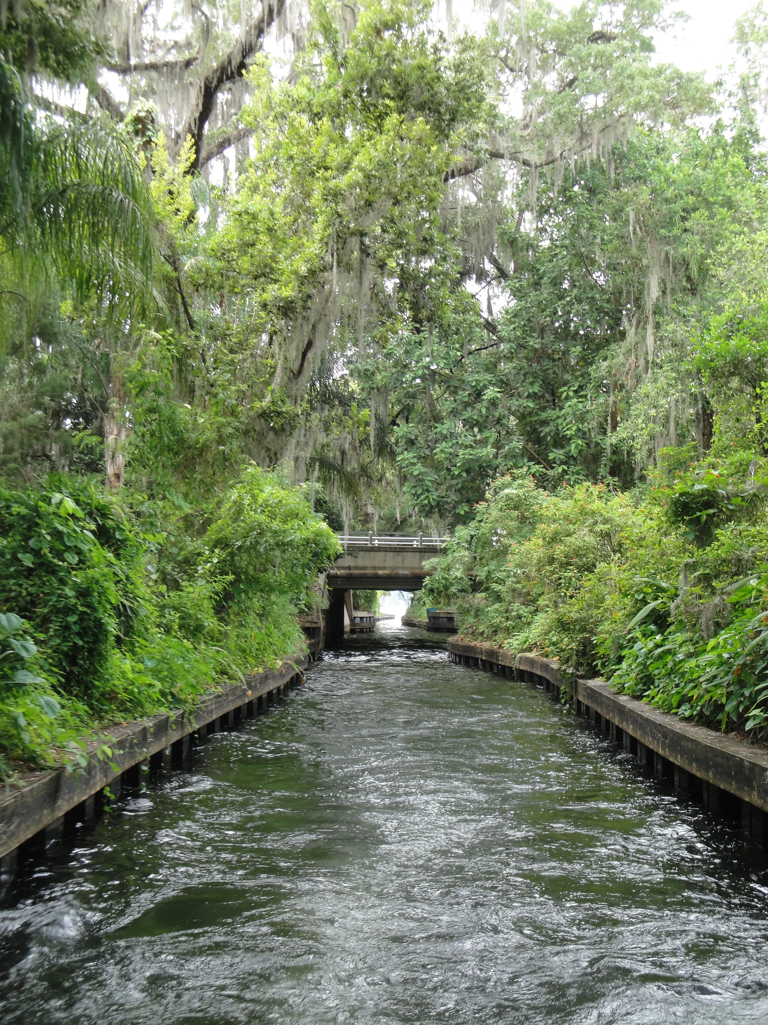 A canal in Winter Park, Florida