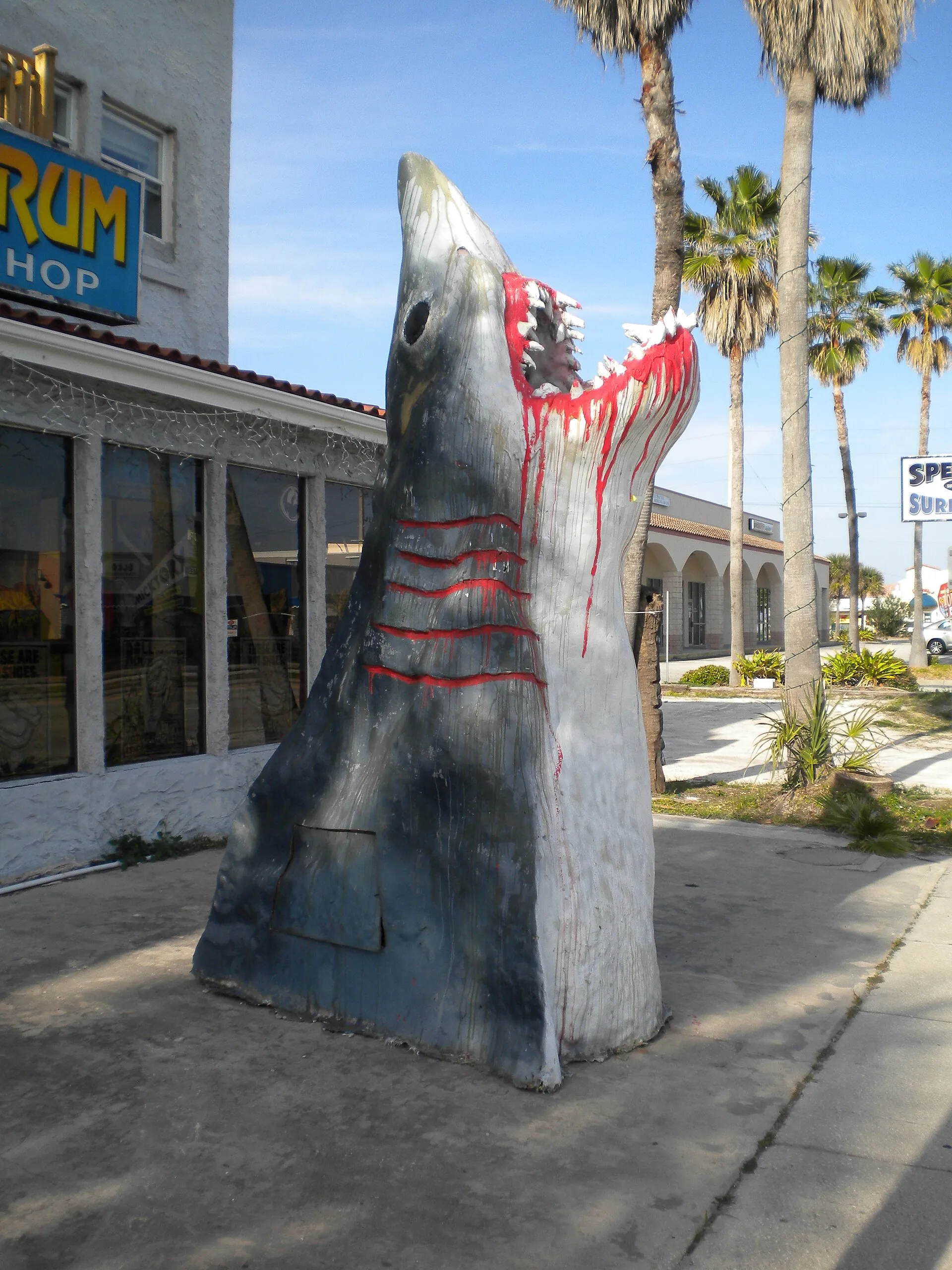 Spectrum Surf Shop shark in front of the Riomar Apartments, 130 5th Avenue, Indialantic, Florida.