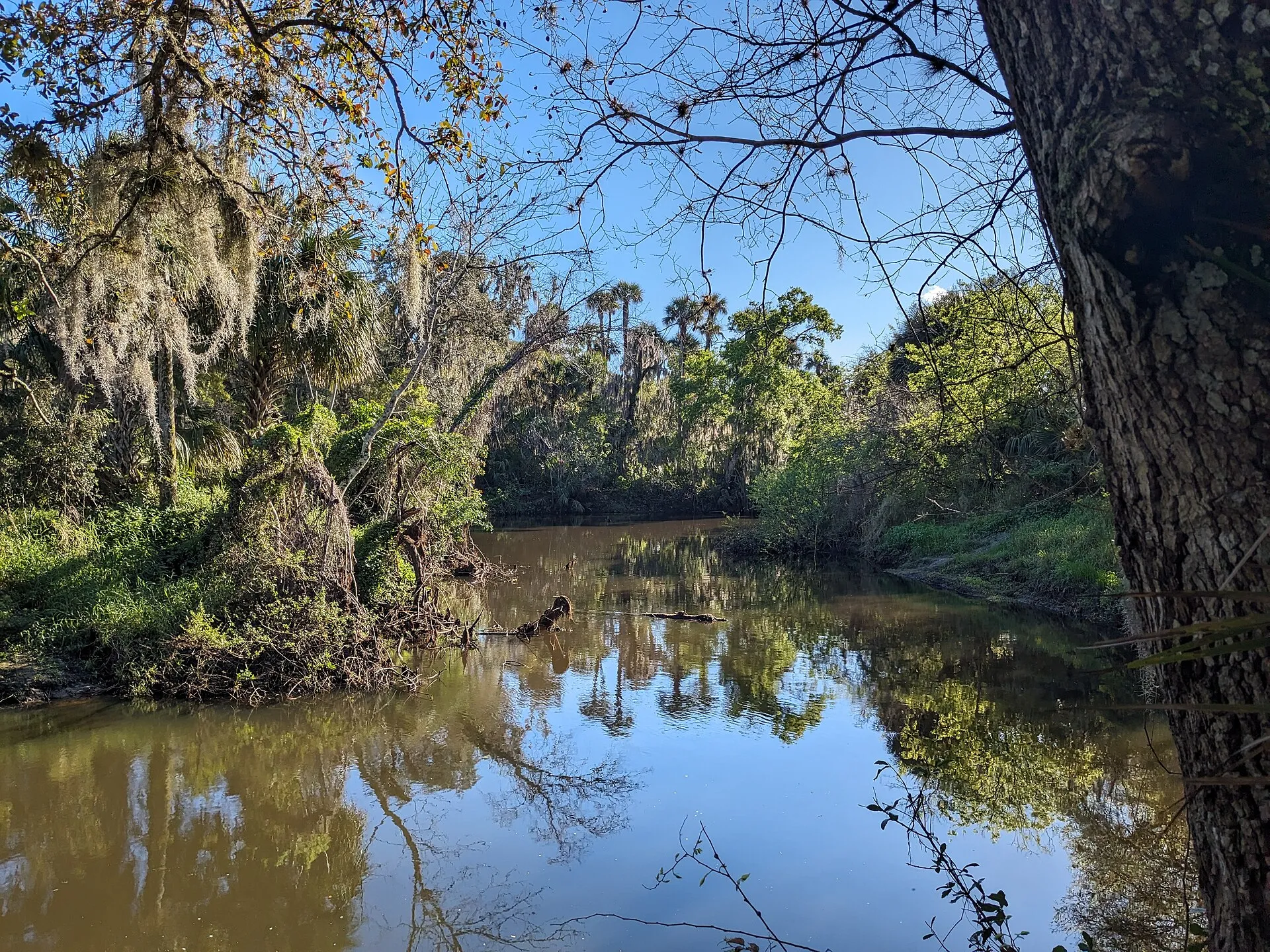Turkey Creek and a small island within, Malabar, Florida.