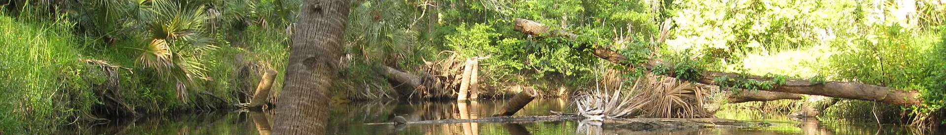 Turkey Creek in the Malabar area.
