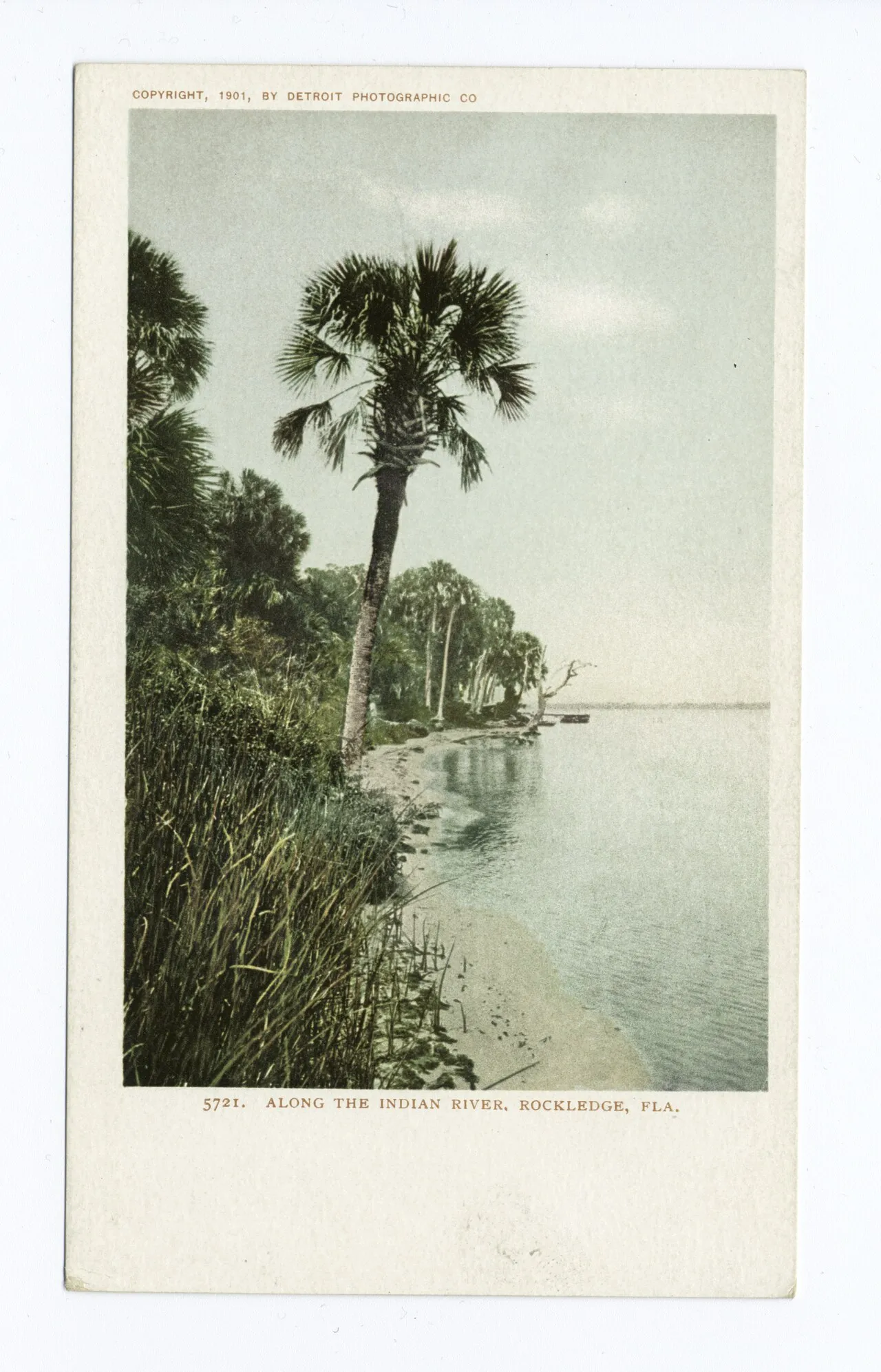 Along the Indian River, Rockledge, Fla. (historic postcard view, 1901–1902).