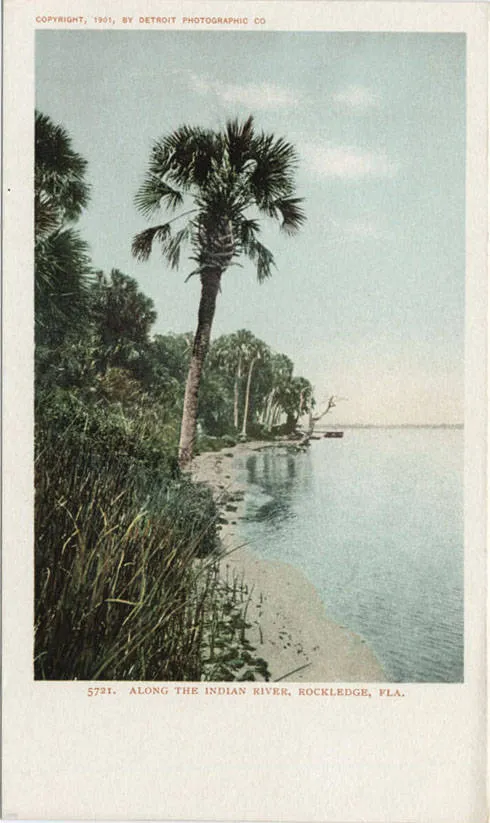 Along the Indian River, Rockledge, Fla. (historic postcard view).
