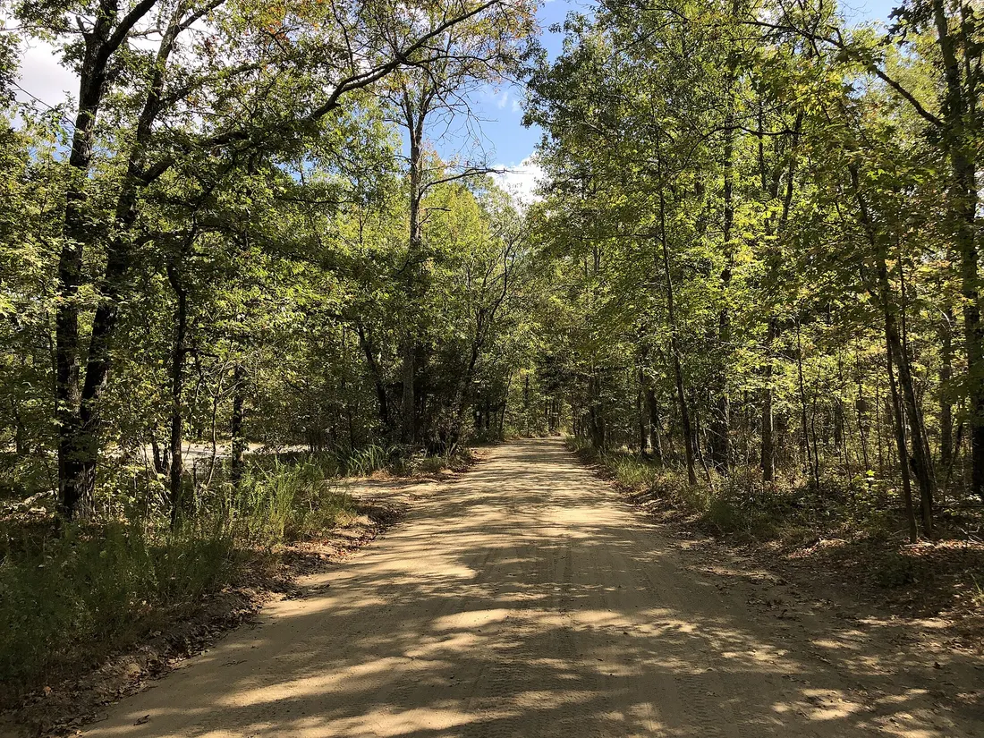View southeast along Quaker Bridge Road and the Mullica River Trail within Wharton State Forest in Shamong Township, Burlington County, New Jersey