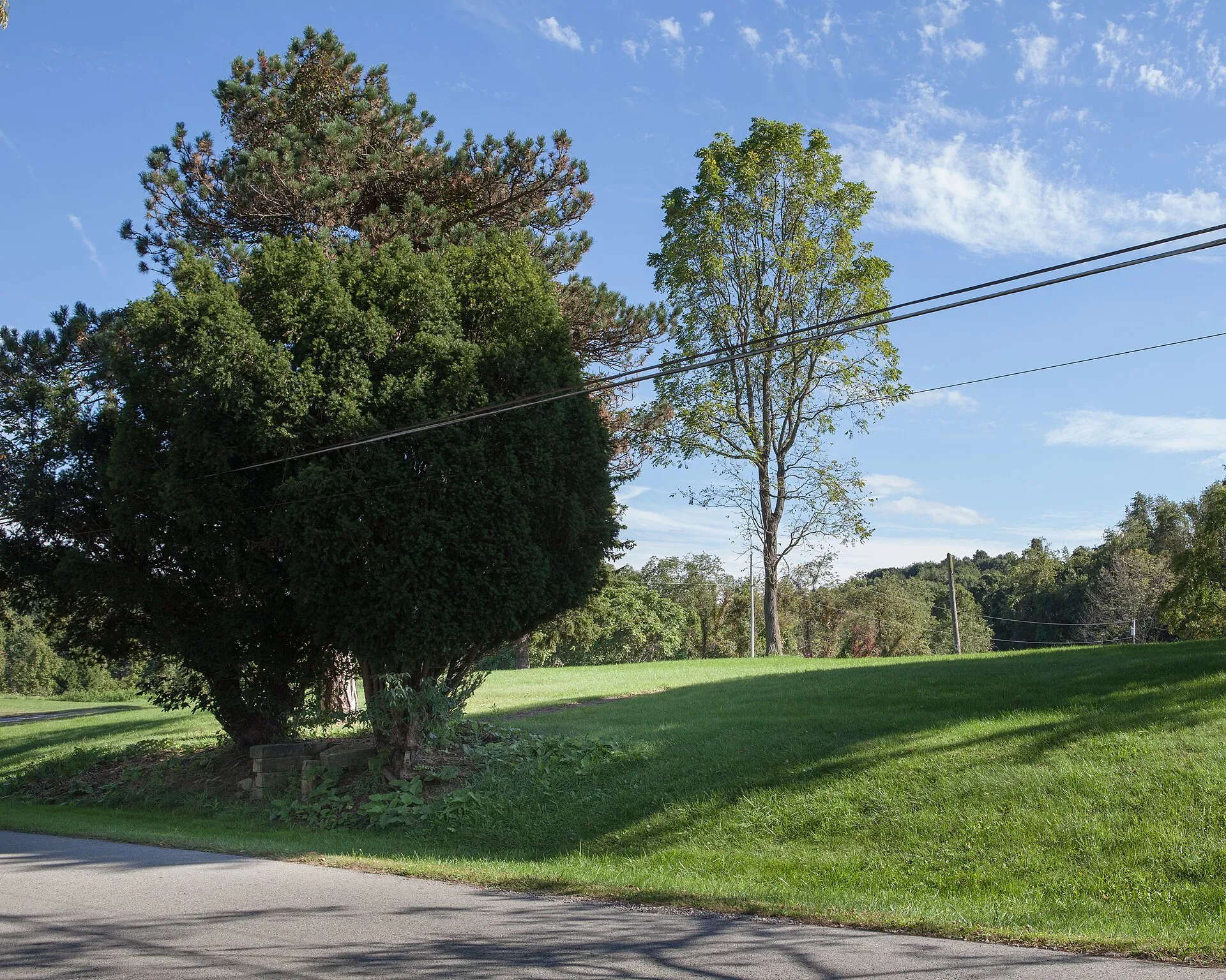 The empty lot where the Harrison House once stood. All that remains is a portion of the steps from the road and the sidewalk to the house.