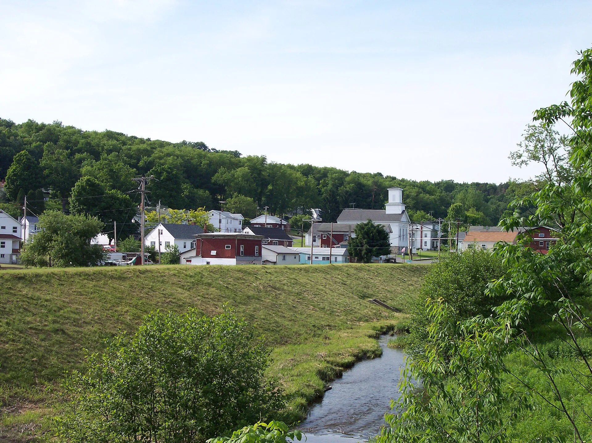 Description: Picture is of Cherry Tree taken along Cush Cushion Creek and the flood control levee. Visible in the picture is Front Street and the Presbyterian church. Author: Picture taken by Drax Felton.