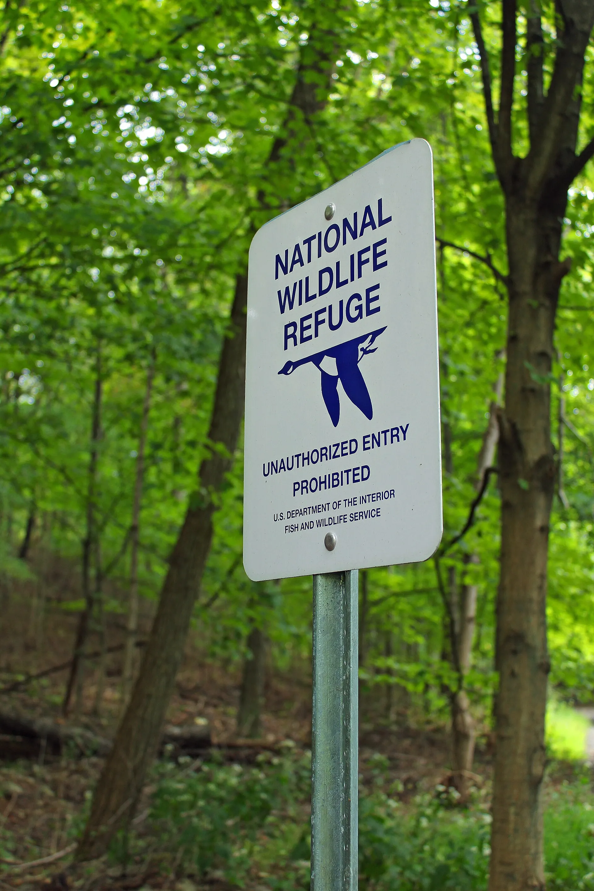 Along a trail at the Cherry Valley National Wildlife Refuge, Monroe County.