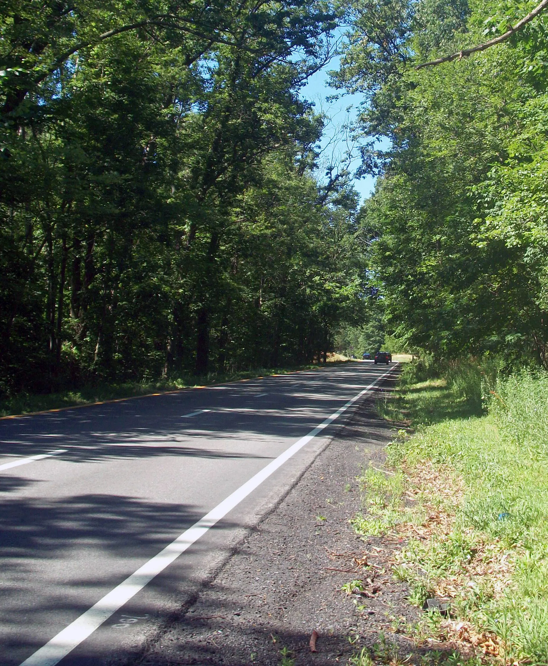 View along northbound Taconic State Parkway at milepost 44.6 in LaGrange, NY, showing an especially good example of road's parklike aesth