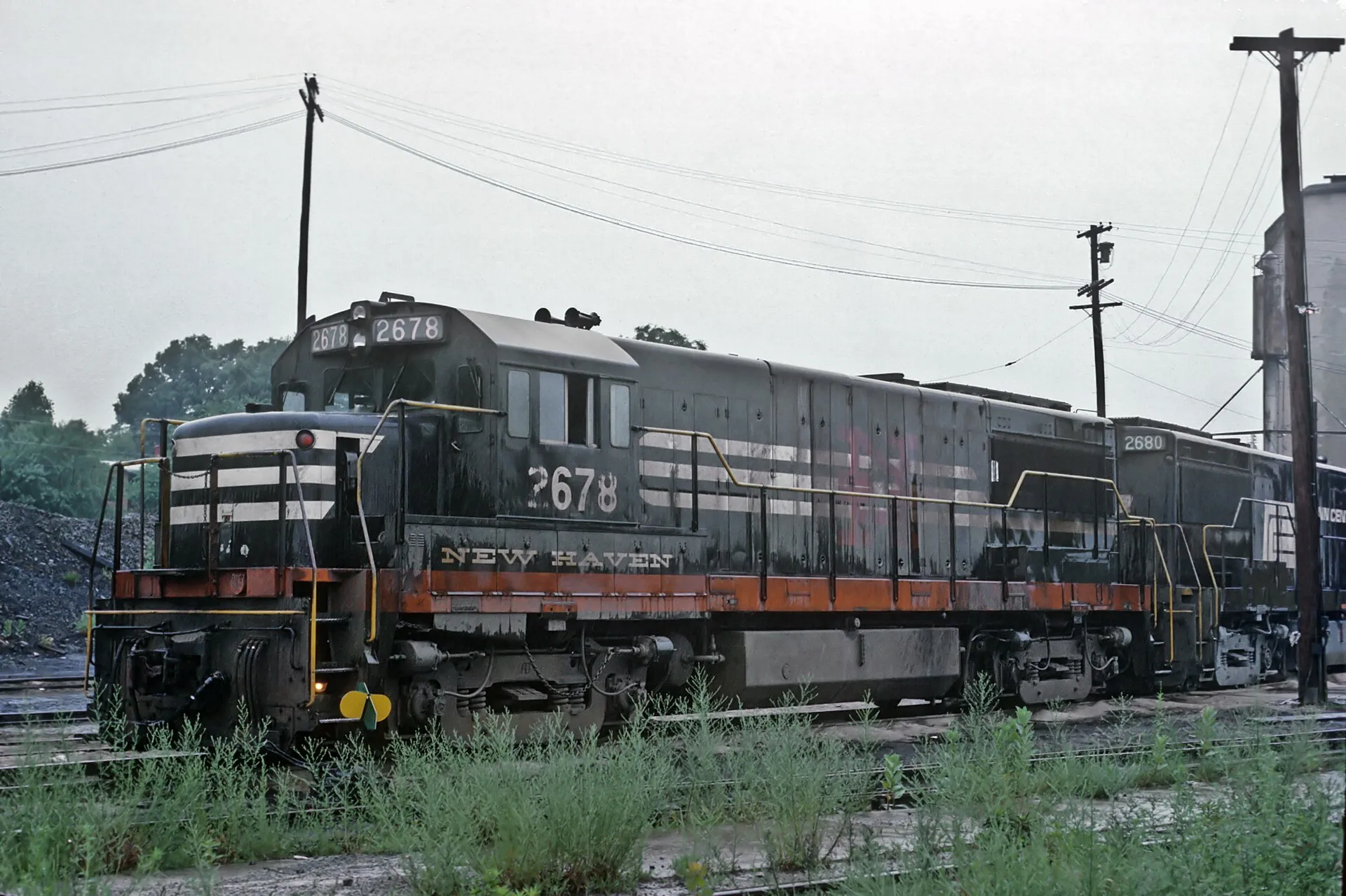 A Roger Puta Photograph