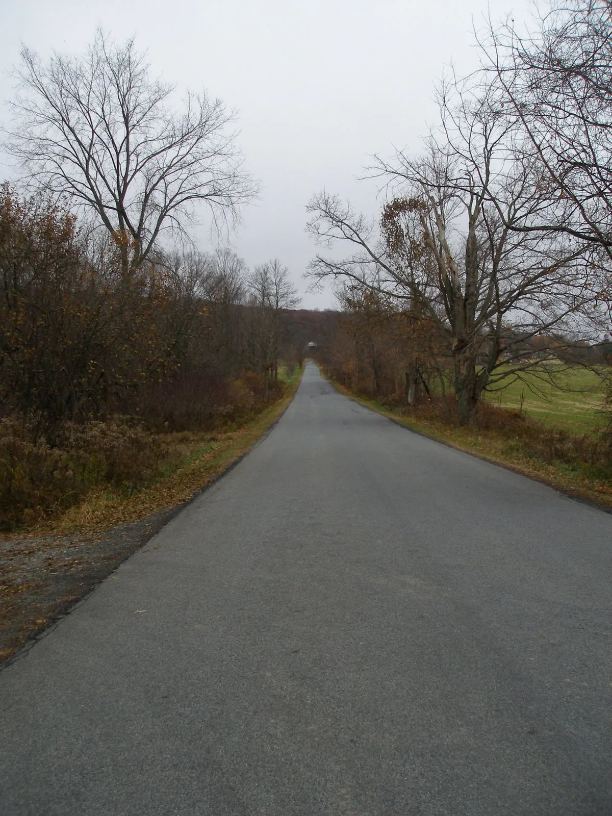 The Millbrook School Road, Millbrook, NY