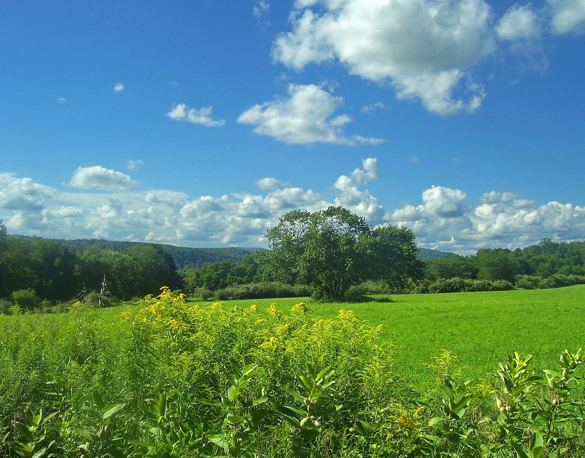 View of Harlem Valley region from Appalachian Trail in Pawling, NY, USA