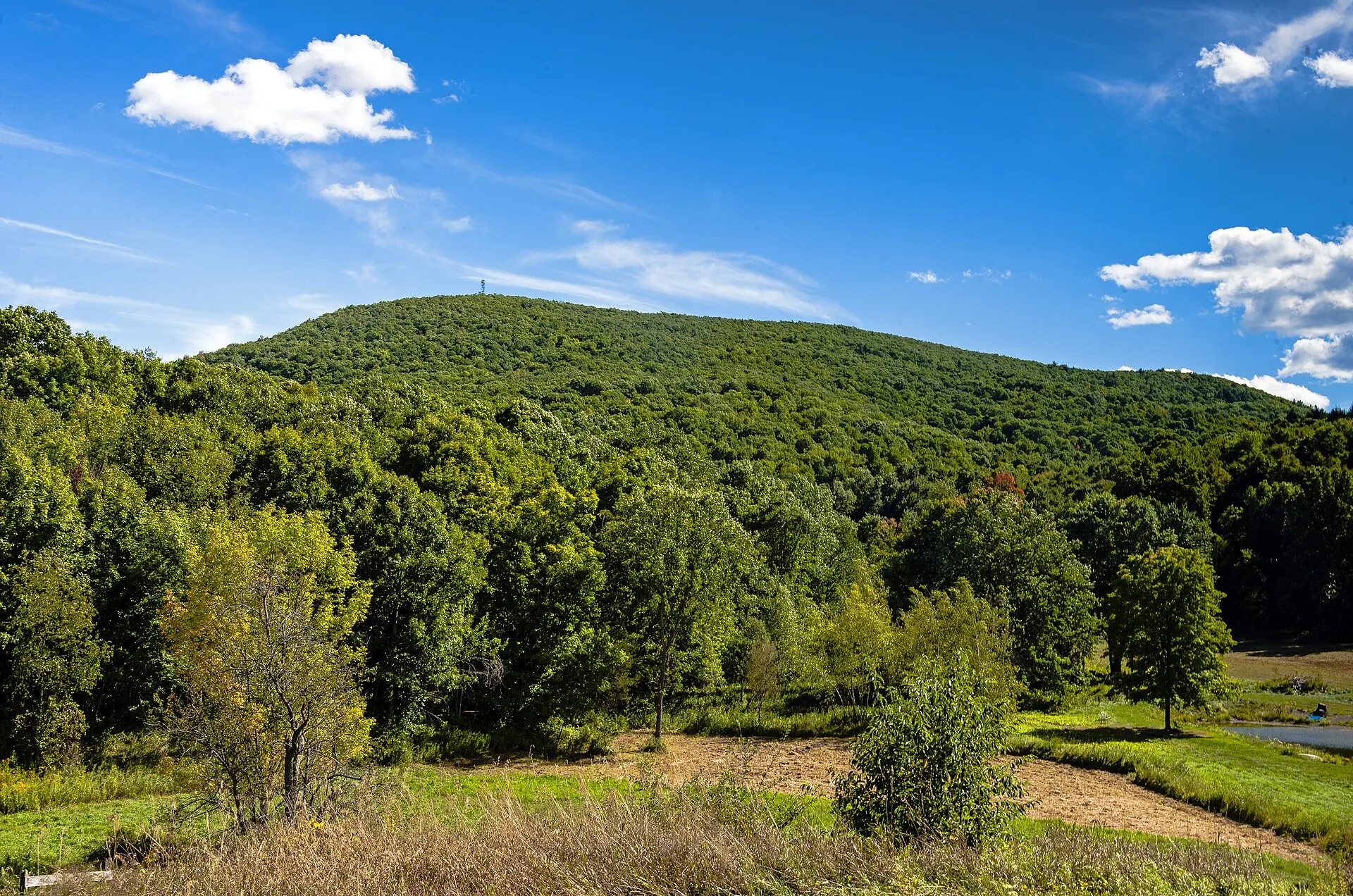 Stissing Mountain, seen from Pine Plains, NY