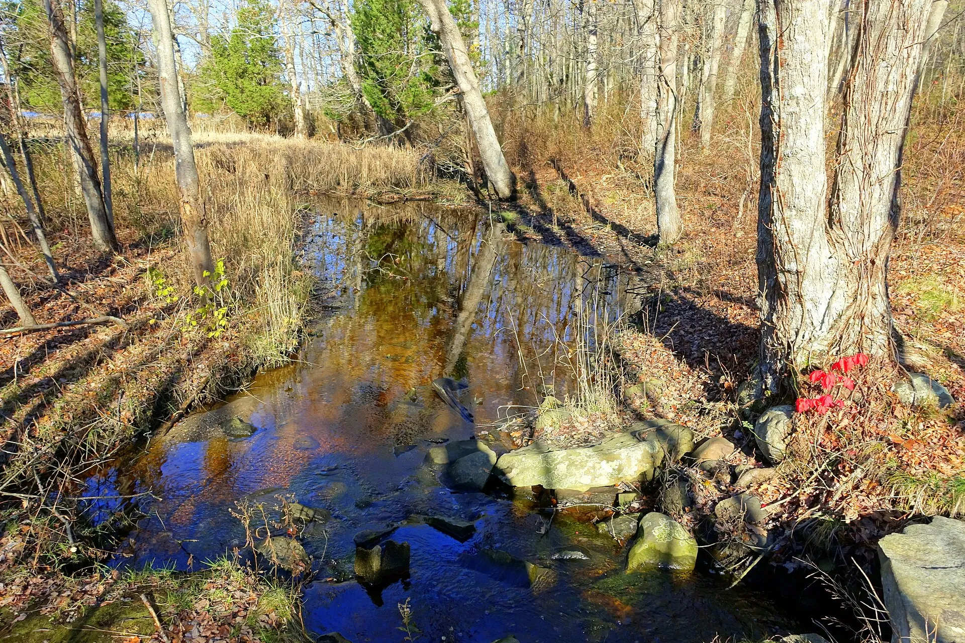 Dighton Rock State Park - Berkley, Massachusetts, USA.