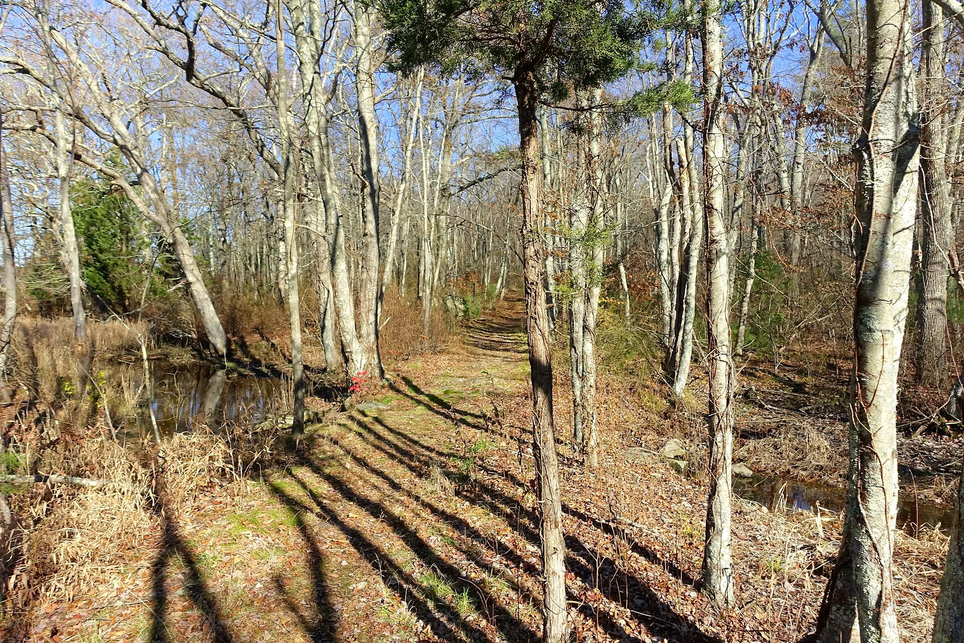 Dighton Rock State Park - Berkley, Massachusetts, USA.