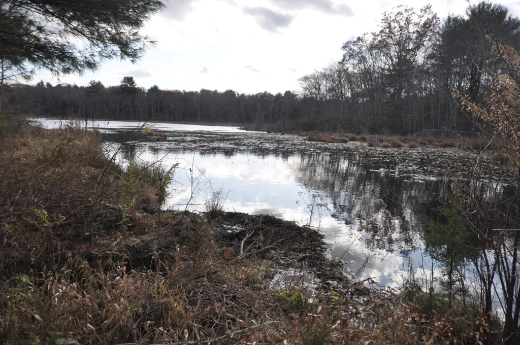 Hallville Mill Pond, Exeter, Rhode Island.