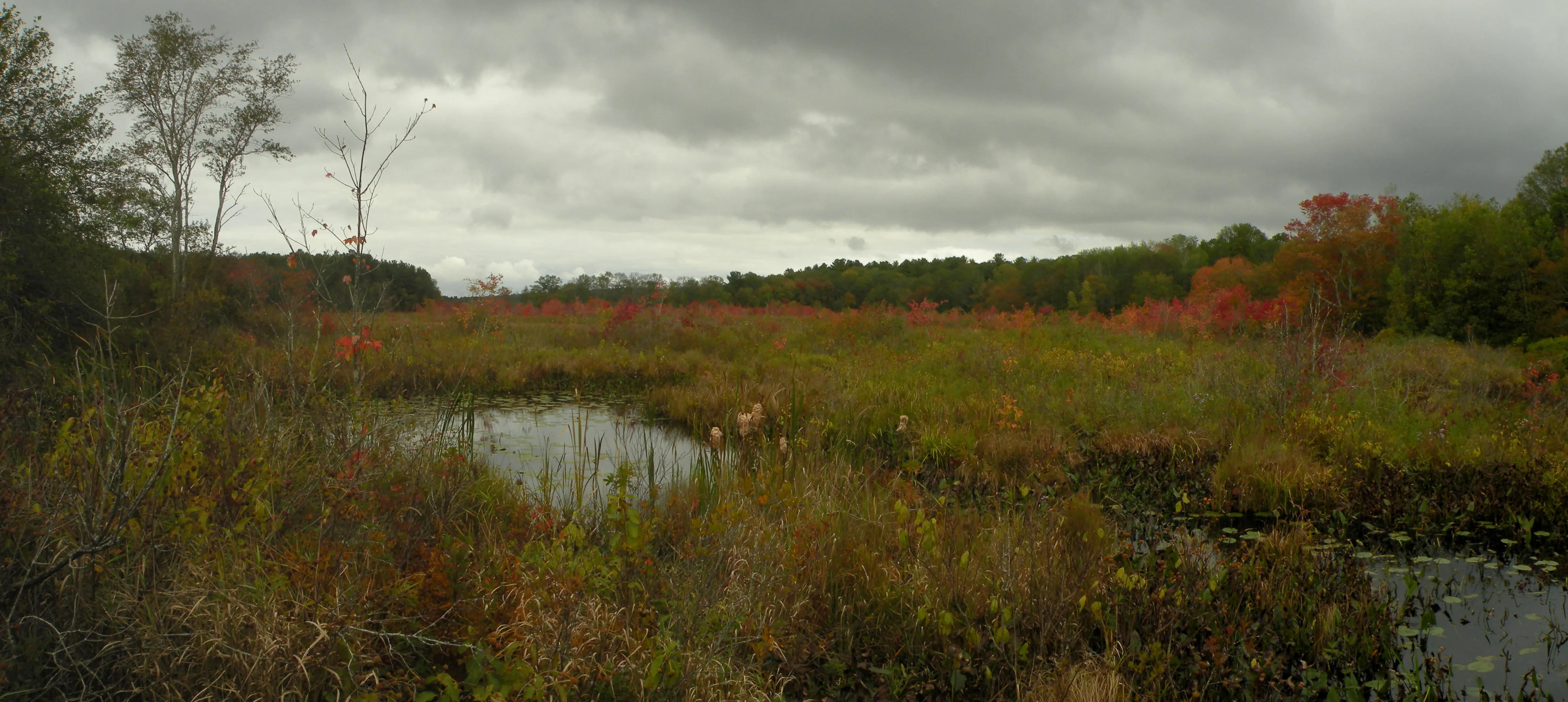 The Moosup River, Foster, Rhode Island.