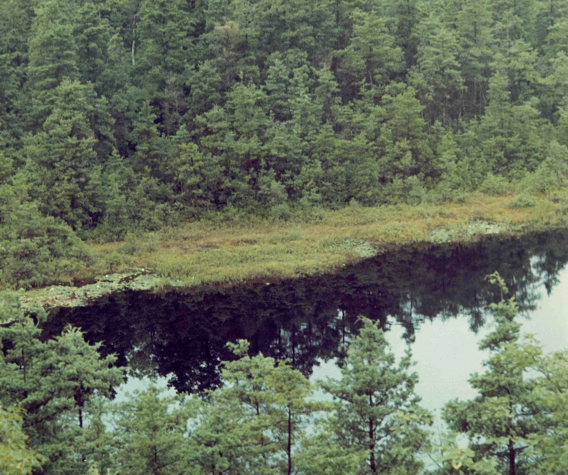 Ell Pond, a kettle-hole pond in Hopkinton, Rhode Island.