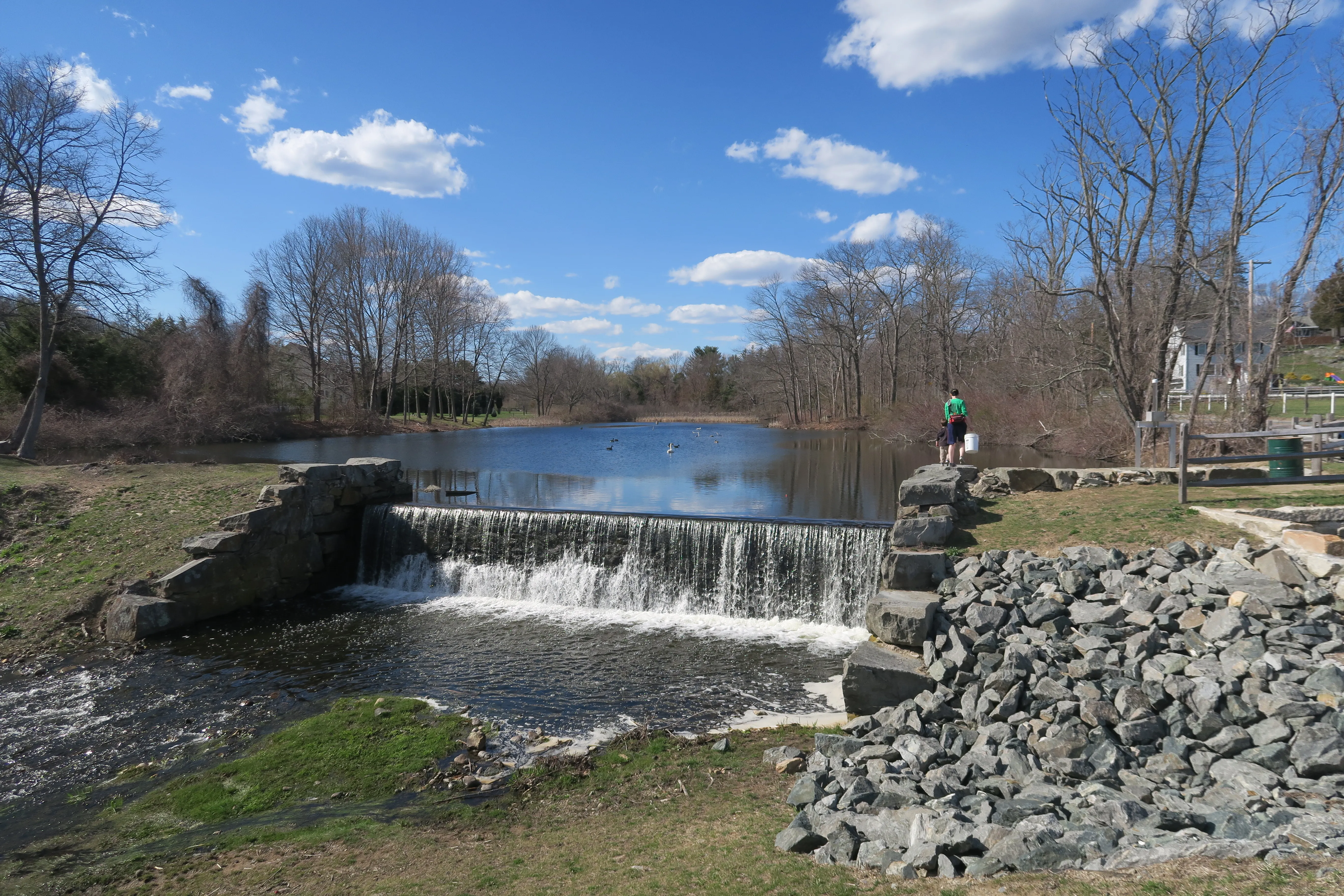 Butterfly Pond, Lincoln, Rhode Island.