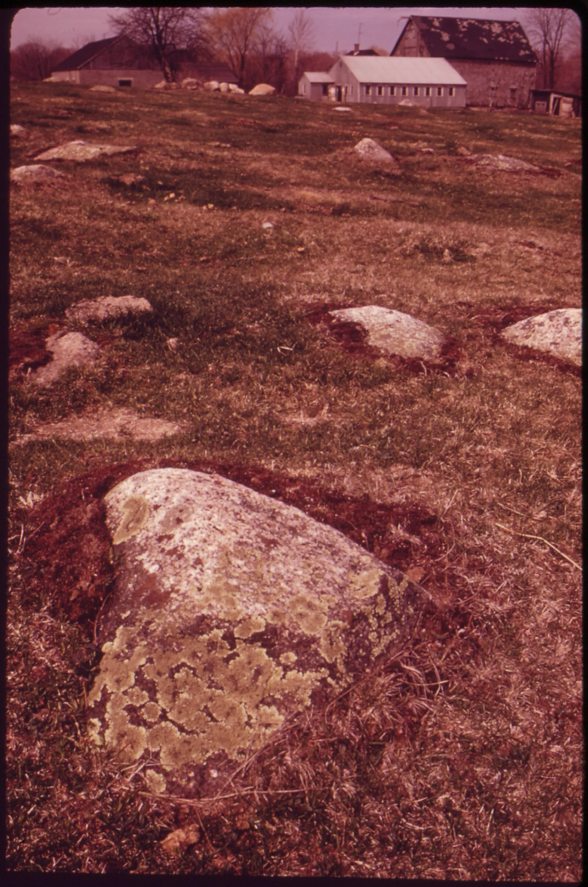 Farm in West Greenwich with stone outcroppings typical of New England soil (U.S. National Archives photo by Hope Alexander).