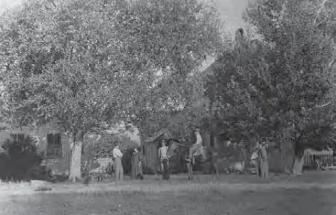 Howard and Martha Coray's farmhouse in Mona, Utah (ca. 1870s)