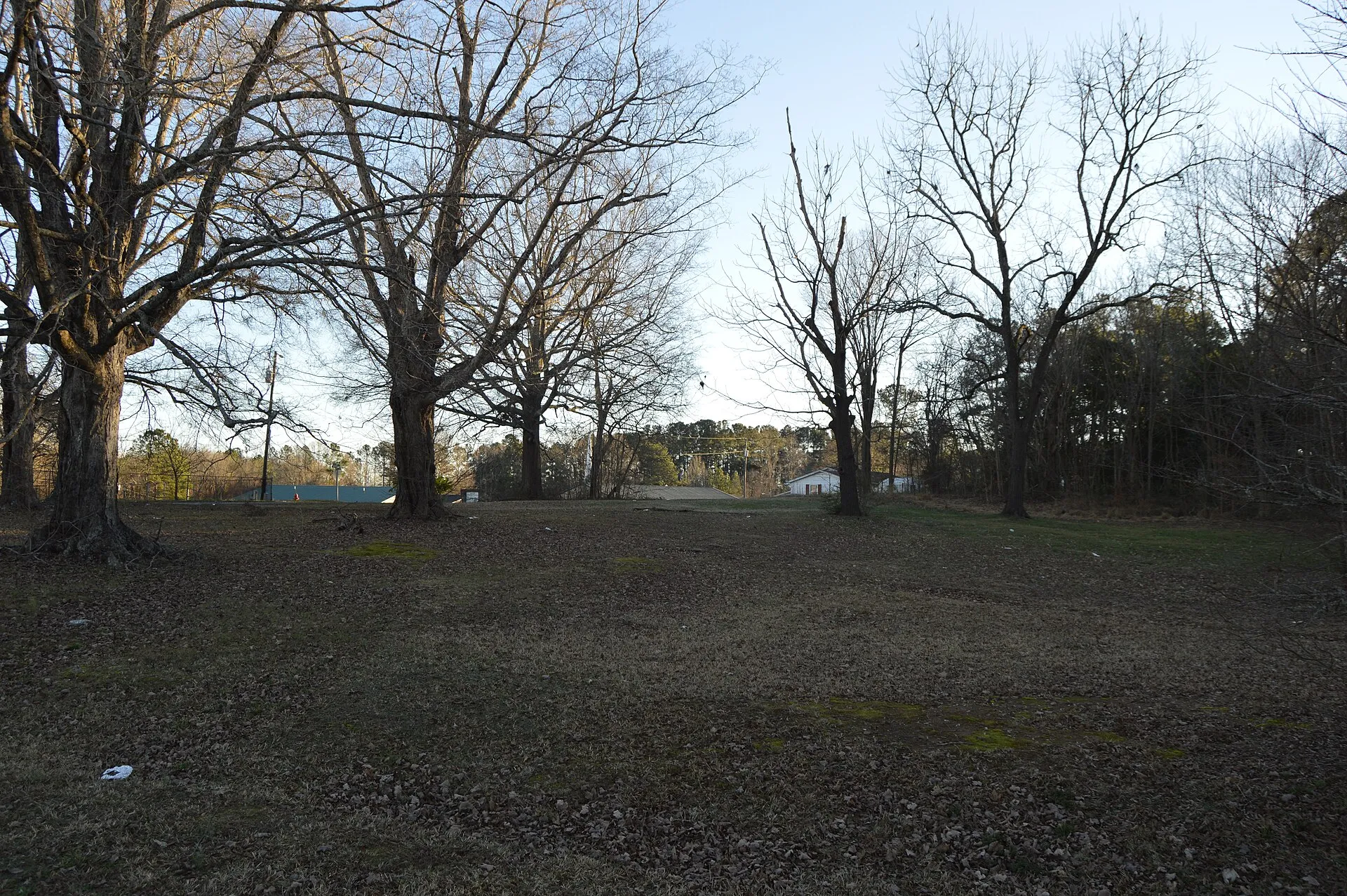 Site of the former Dr. J. A. Savage House, which once sat at 124 College Street in Franklinton, North Carolina, United States. It was listed on the National Register of Historic Places in 1980, and although it was demoli