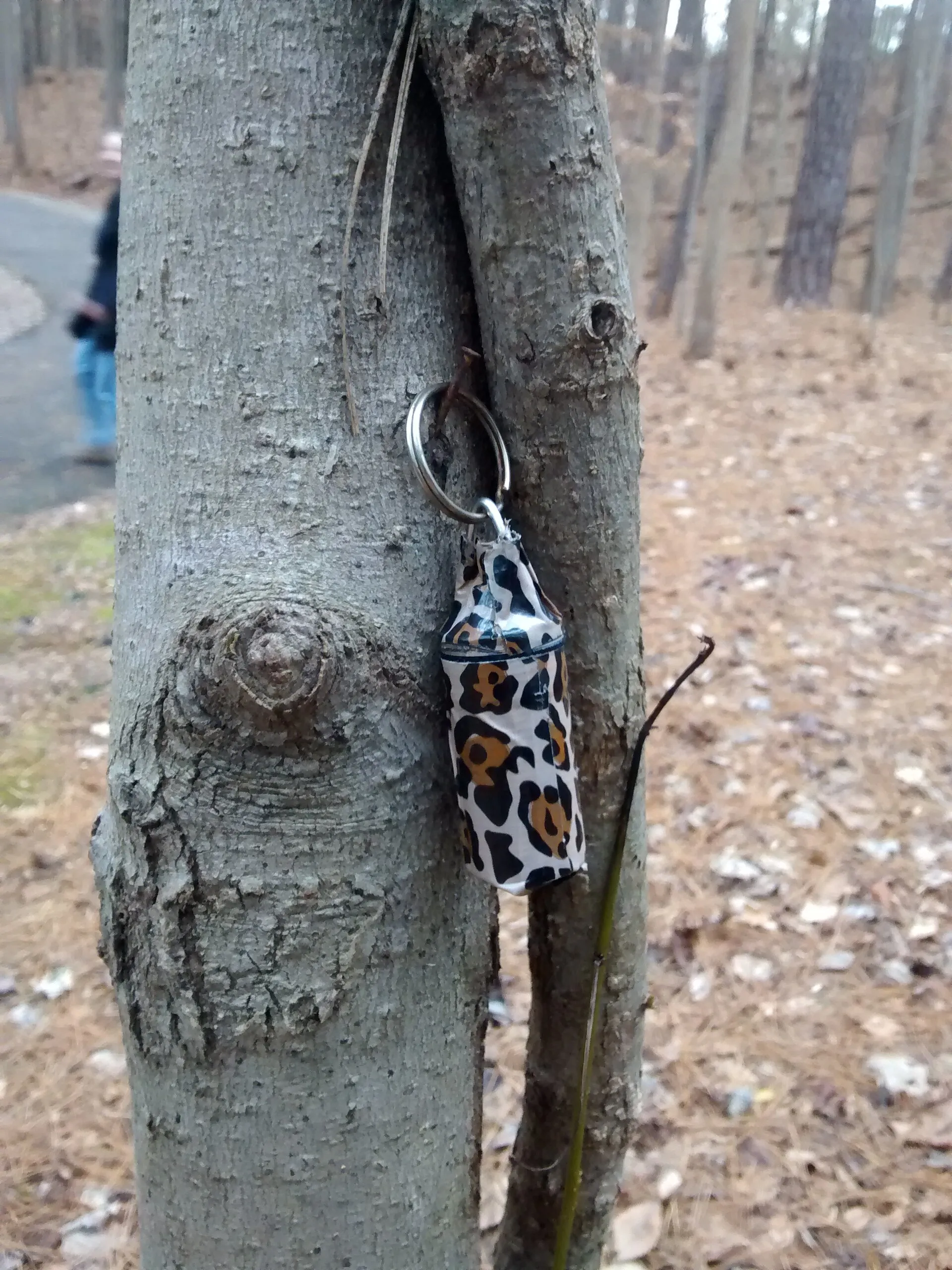 A micro geocache hanging on a nail in a tree. This geocache, titled "How the Leopard Lost His Spots #2", has difficulty rating 2 and terrain rating 2.
