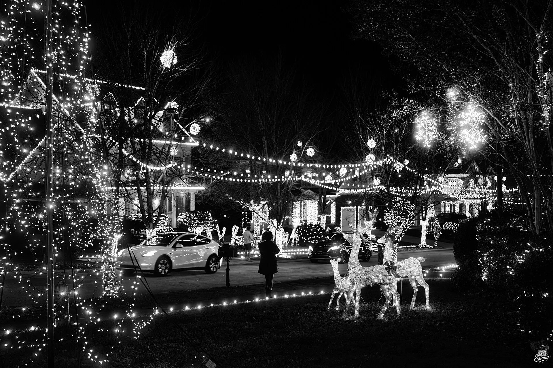Christmas street, Raleigh, NC