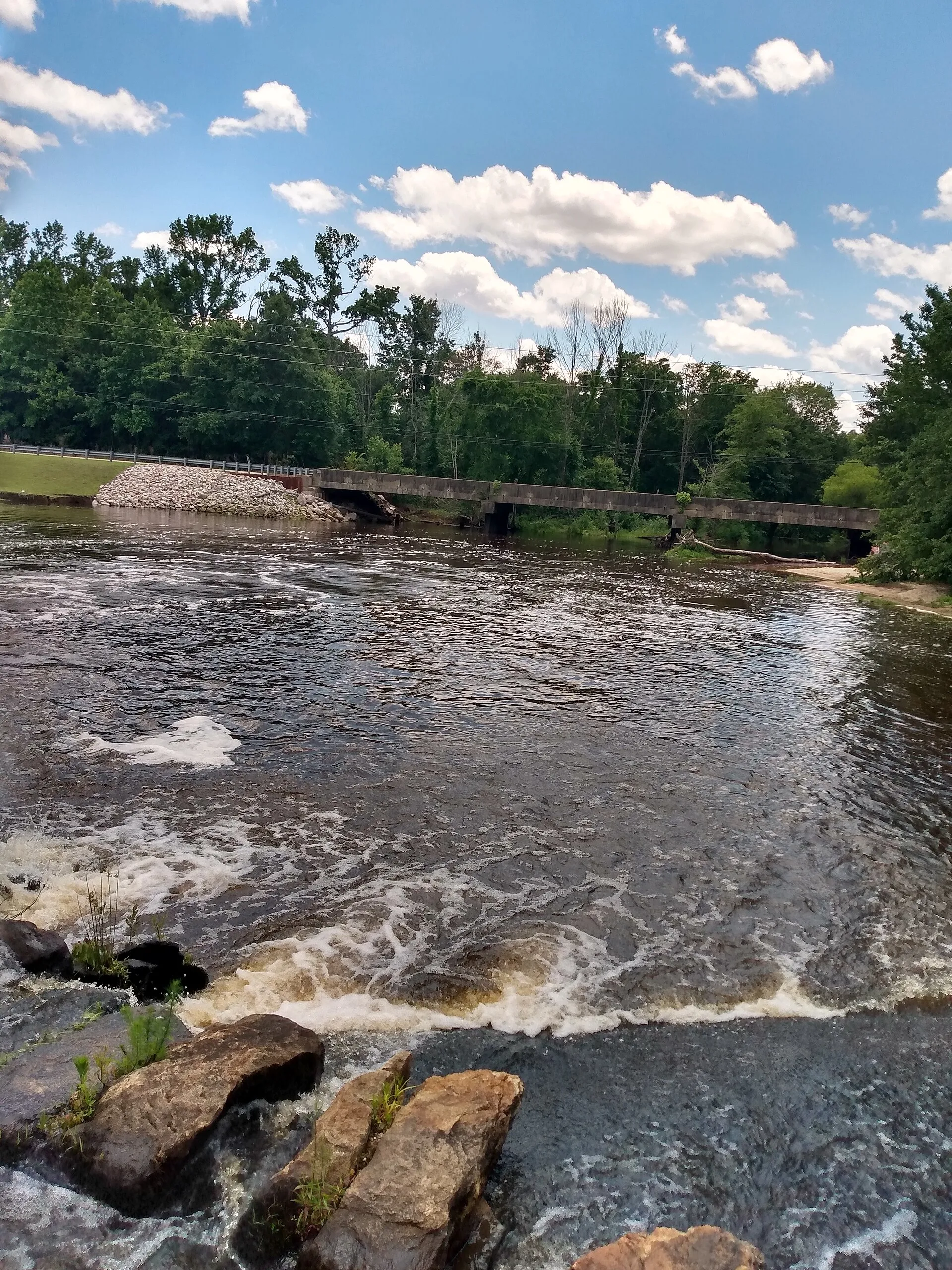 View from a river beach in Zebulon, North Carolina