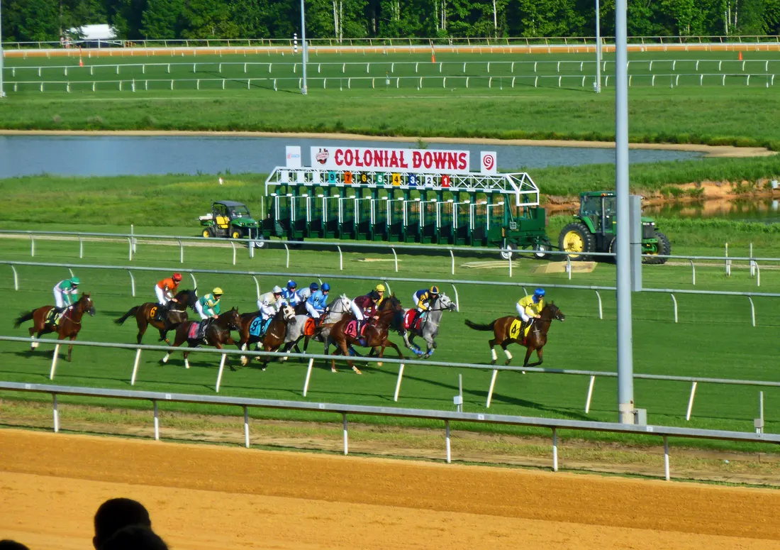 Horse racing at Colonial Downs in New Kent County (2019)