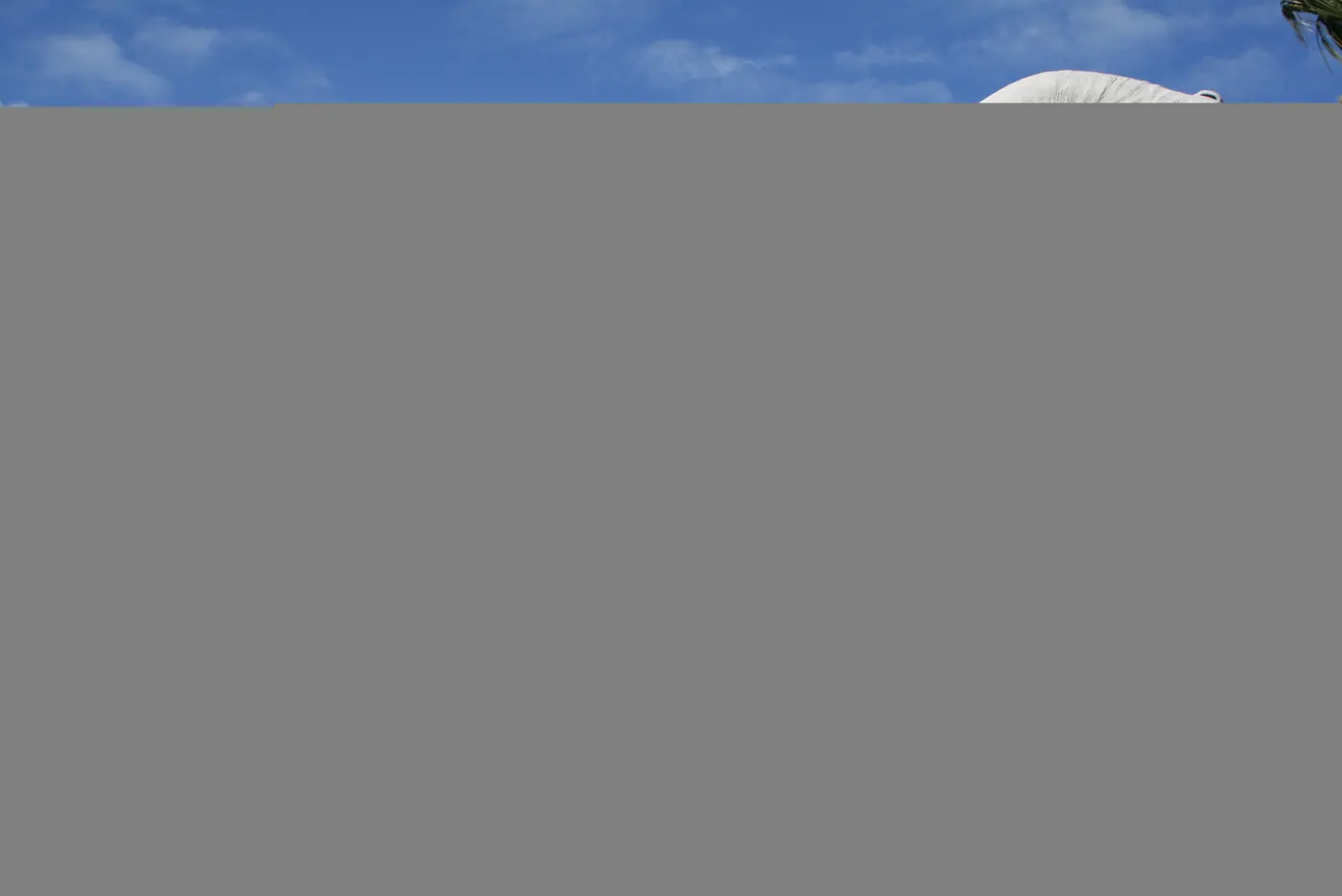 Dinny the Dinosaur and Mr. Rex at Cabazon Dinosaurs