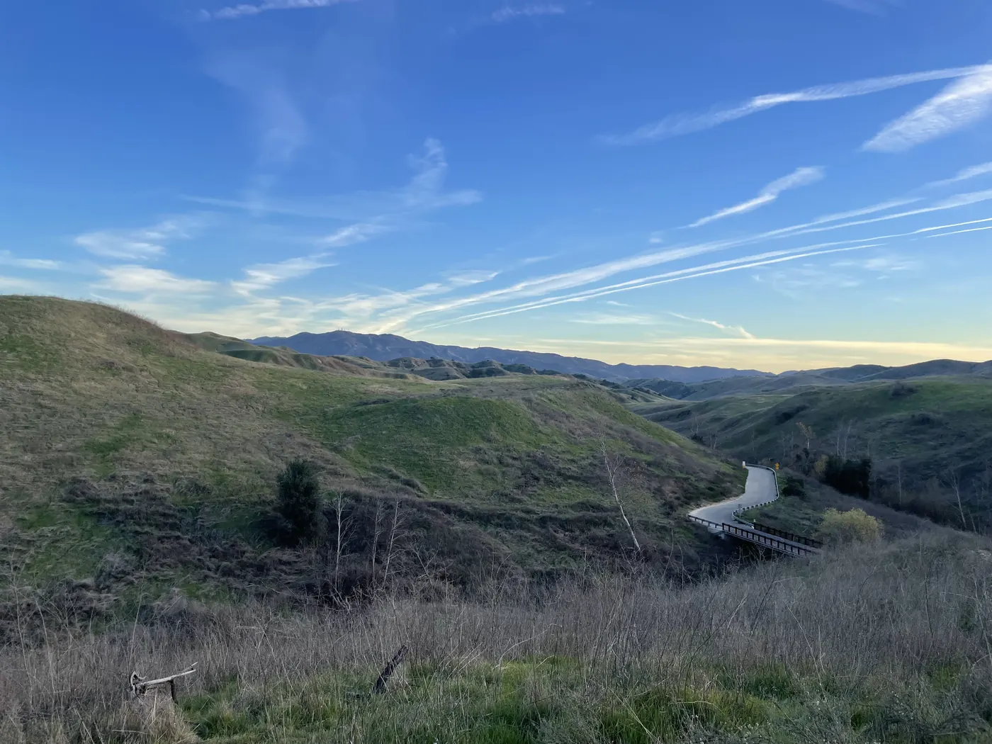 Bane Canyon in Chino Hills State Park