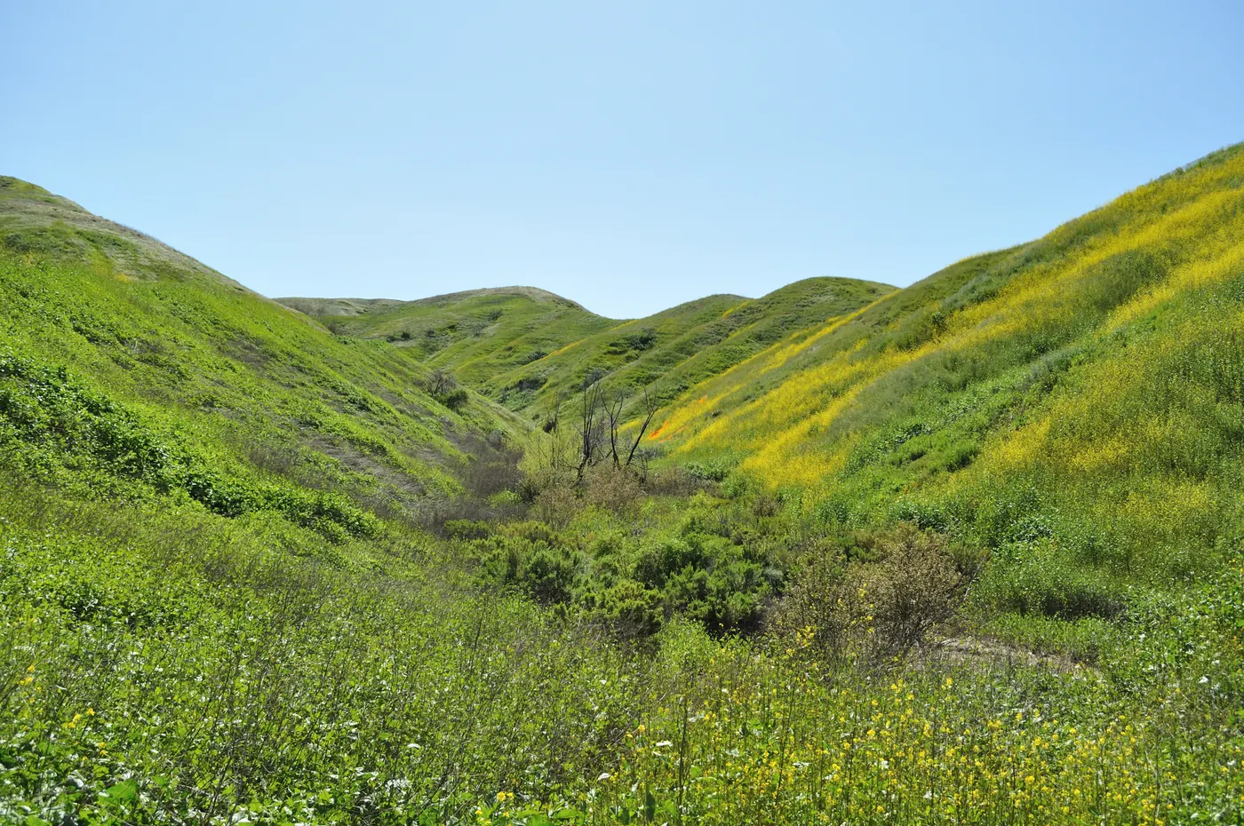 A canyon at Chino Hills State Park's street entrance