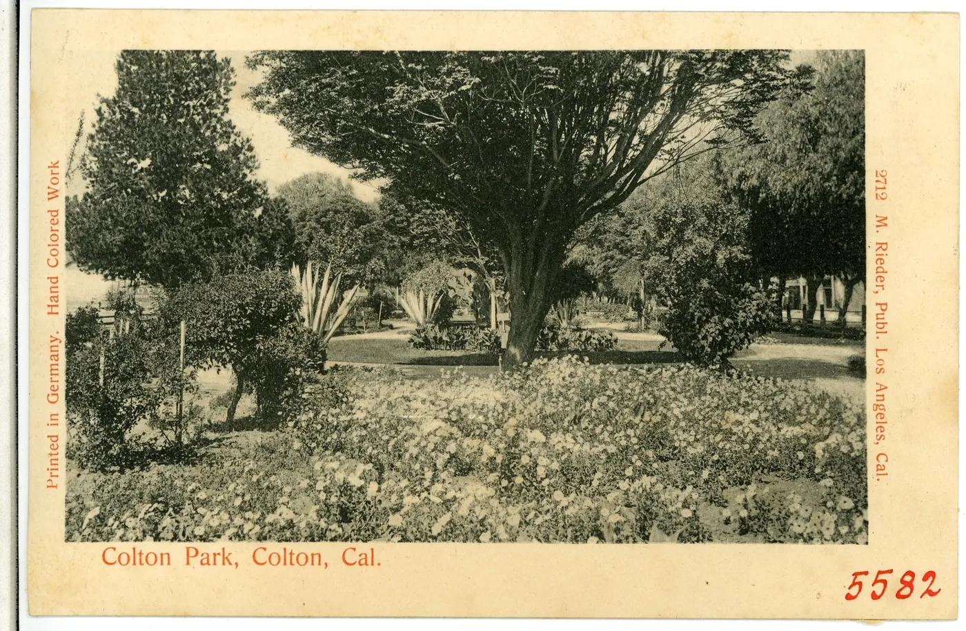 Colton Park, Colton, California (1904 postcard view)