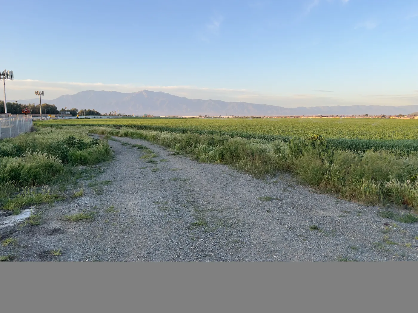 Agricultural field in Jurupa Valley next to I-15, Mt. Baldy in background