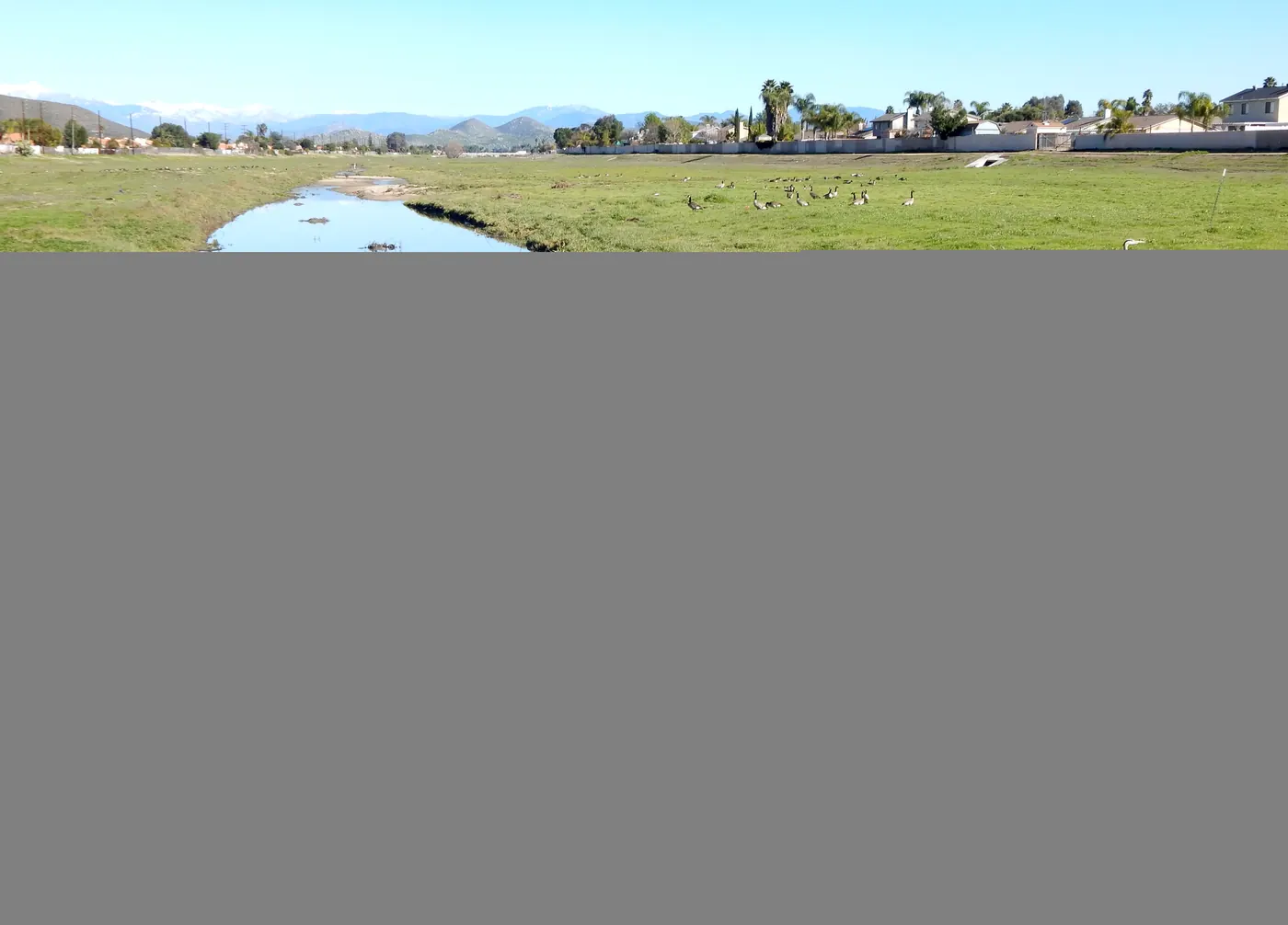 Salt Creek with waterfowl, view east toward Mt. San Jacinto