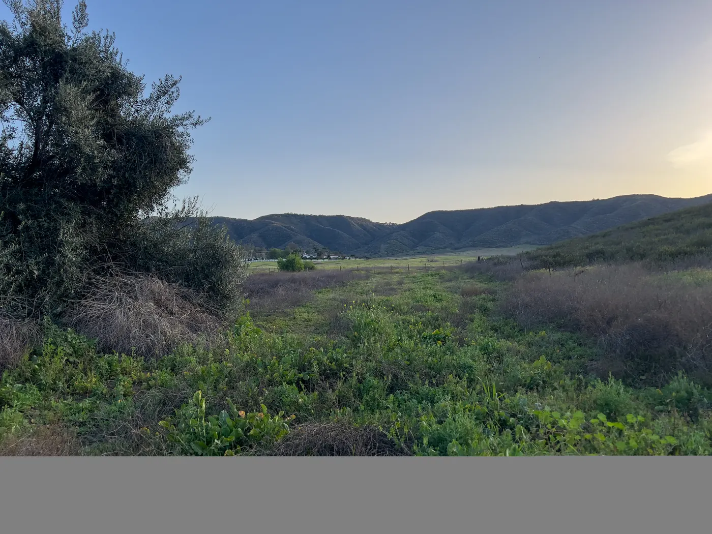 Santa Rosa Plateau viewed from Murrieta