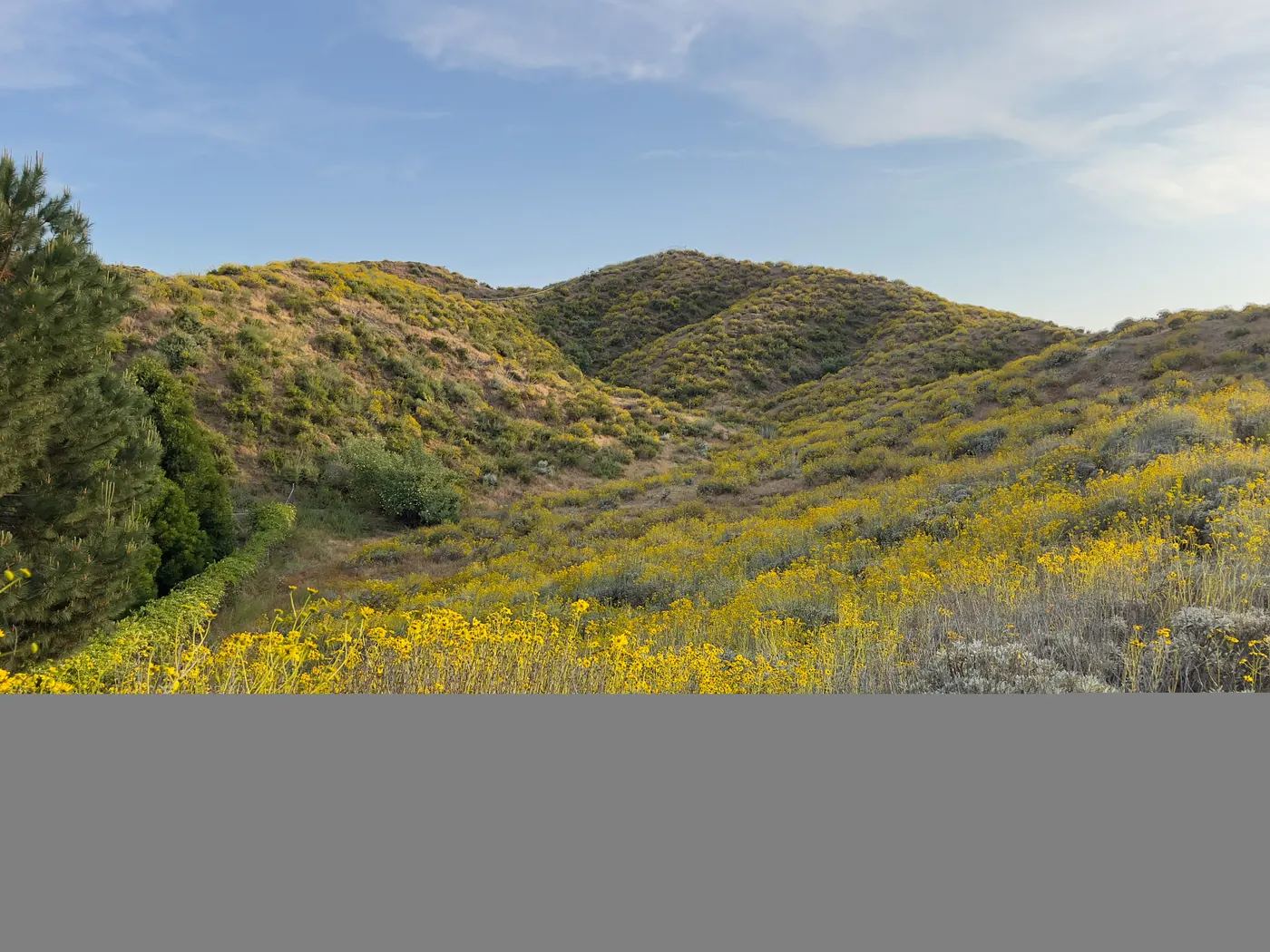 Park Hill viewed from San Jacinto