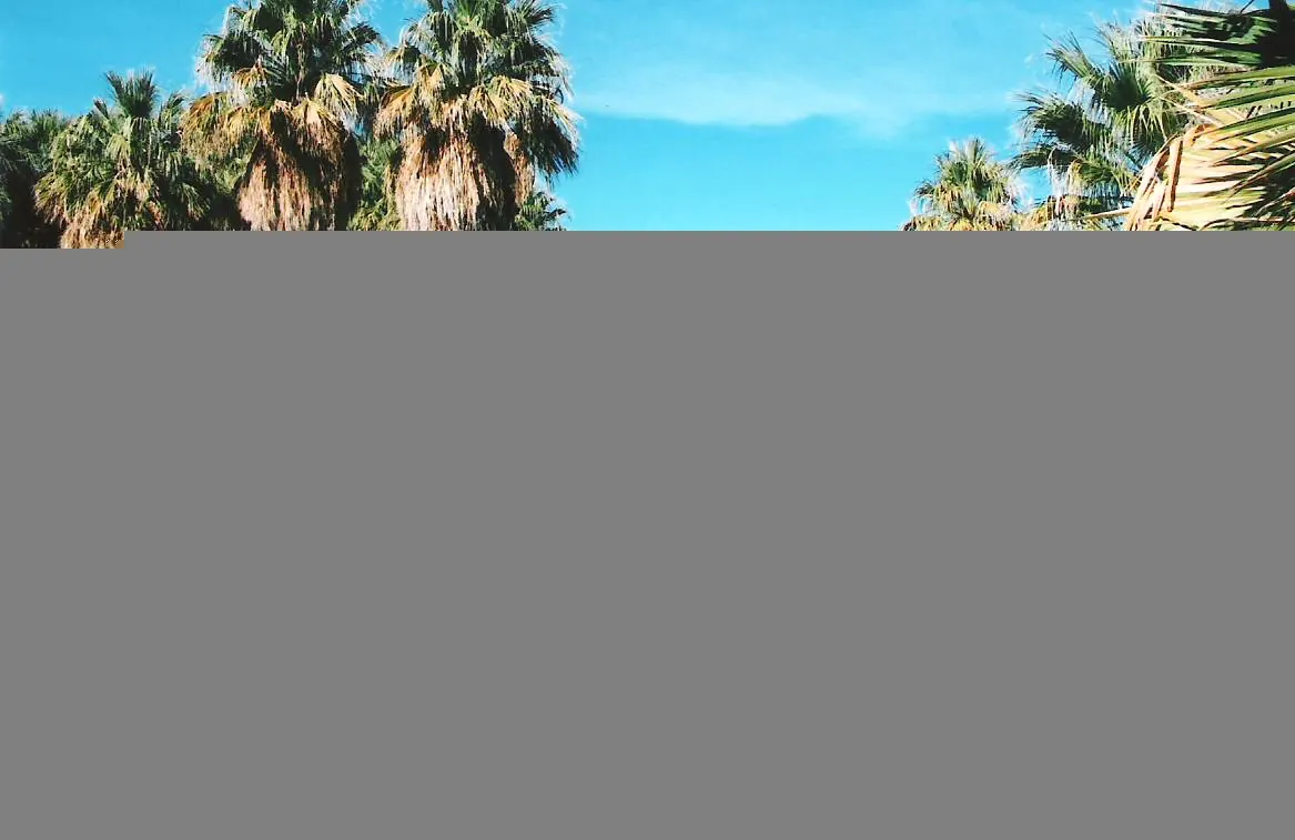 Thousand Palms Oasis, Coachella Valley Preserve