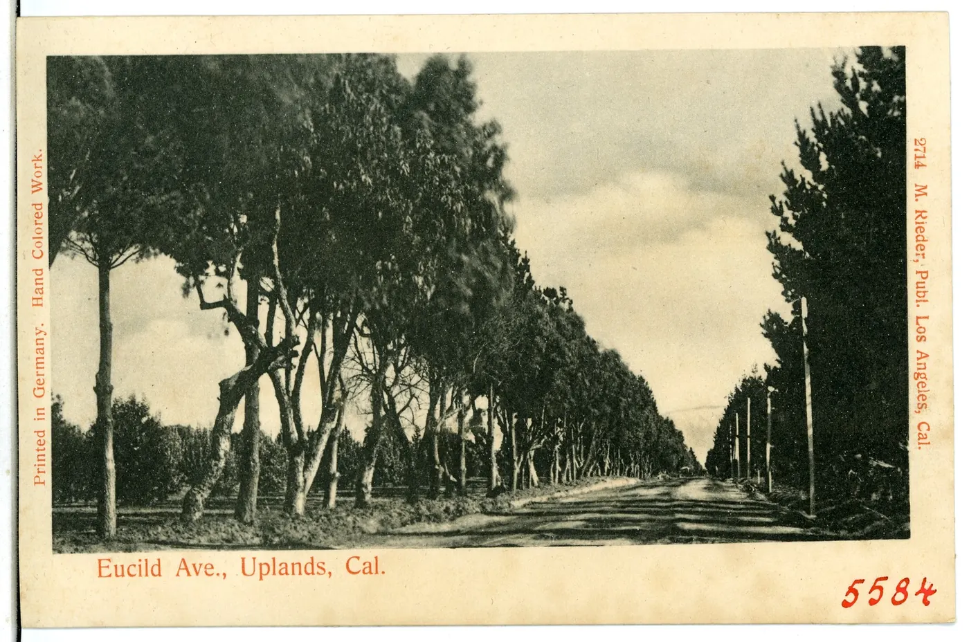 Euclid Avenue, Upland, in 1904