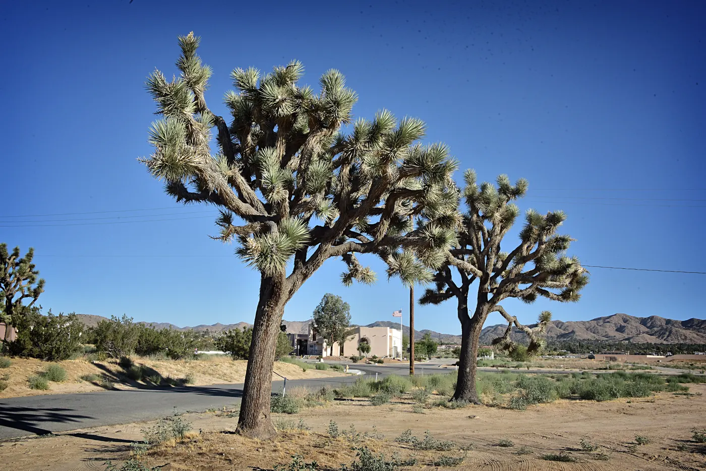 Yucca Valley looking south with the Visitor Center in the background