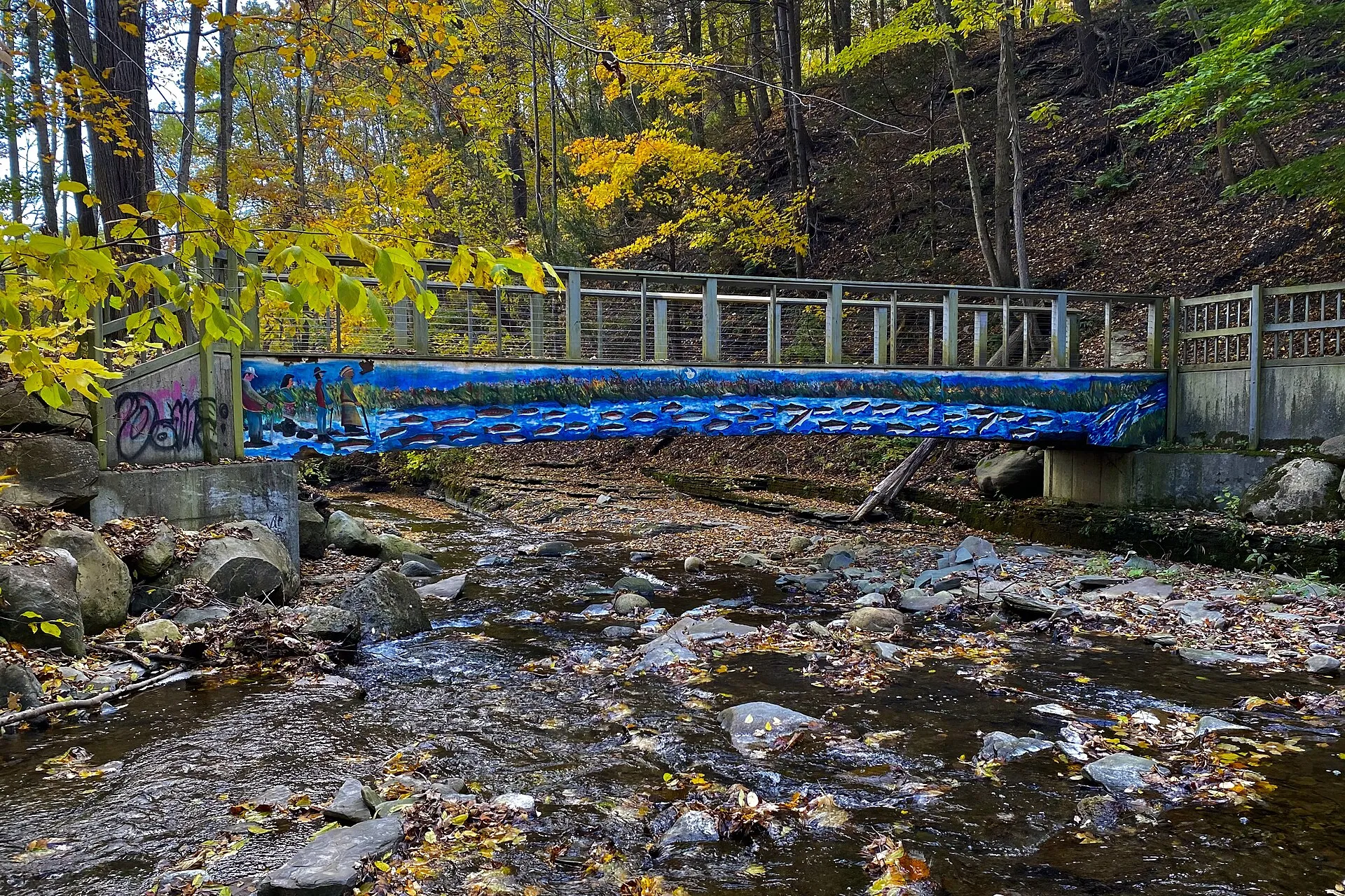 Grimes Glen 20221011 14 Footbridge still closer