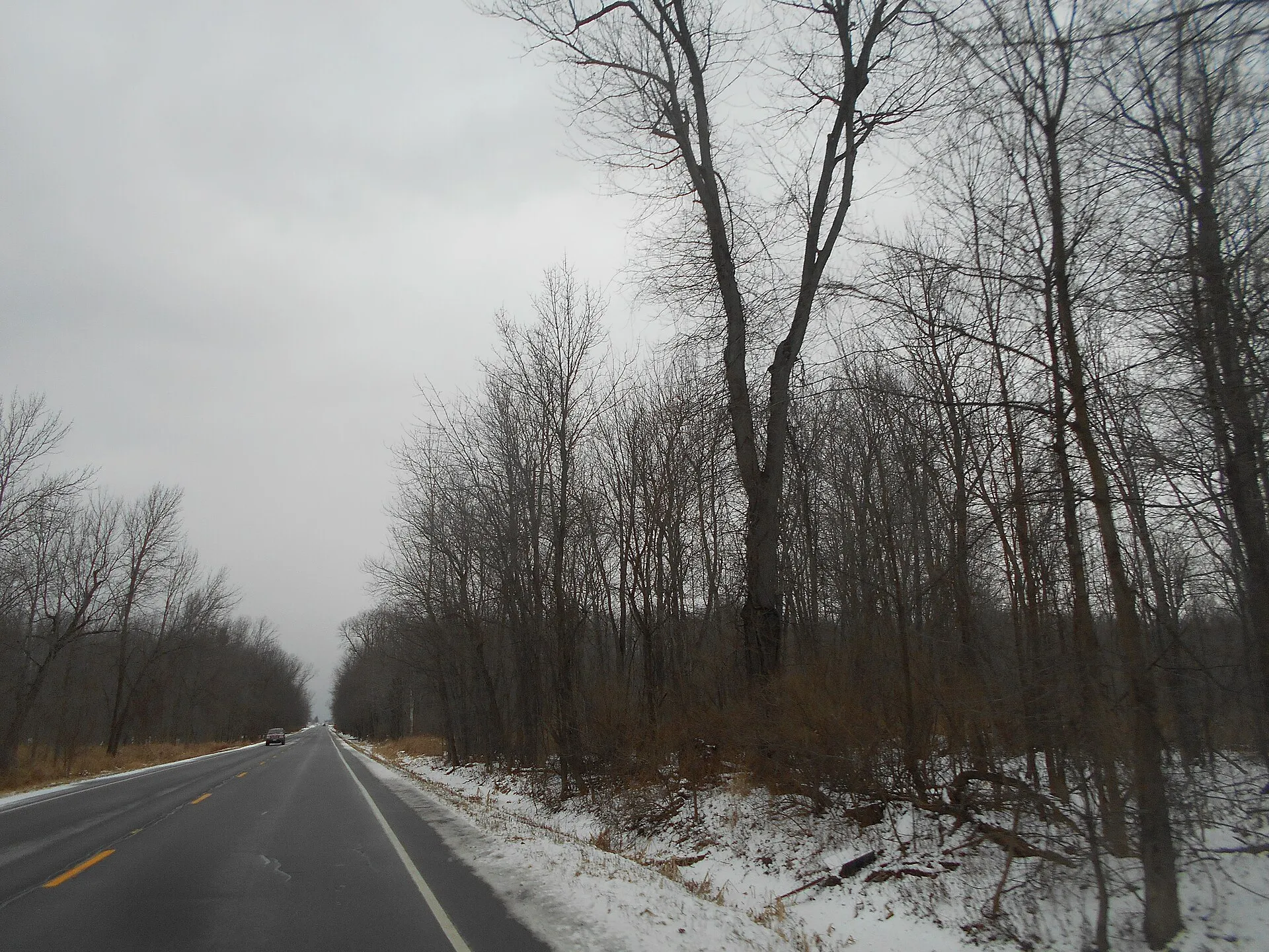 New York State Route 63 15983083579