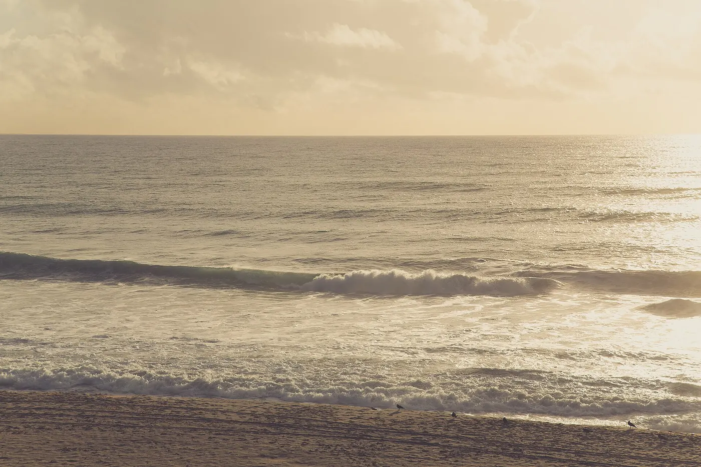 Sandy shoreline at Carlsbad Beach, Carlsbad, California