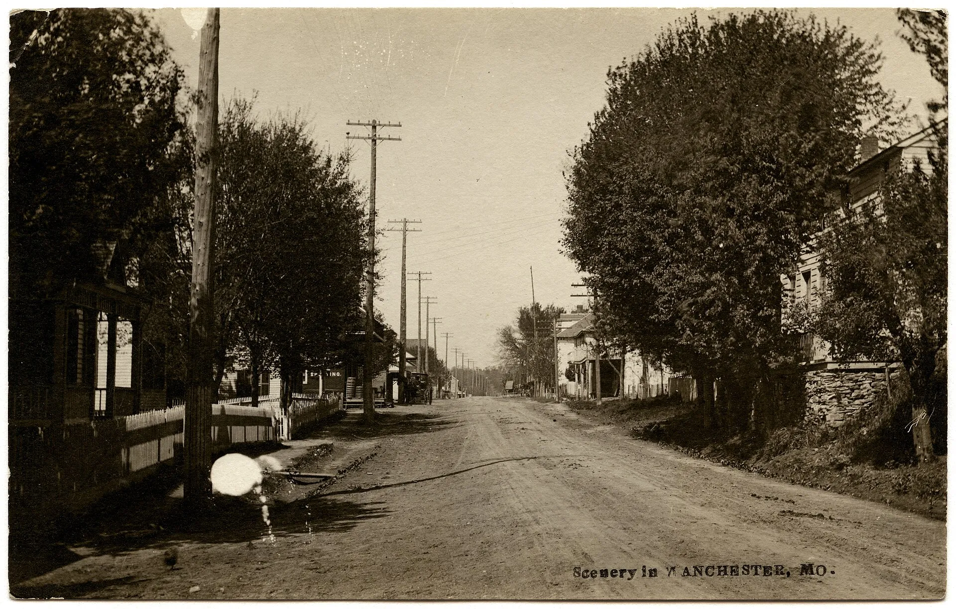 Horizontal, black and white postcard showing a photographic view looking down a dirt road in Manchester, Missouri. Houses can be glimpsed through trees on both sides of the road. Several of the yards are bordered by p...