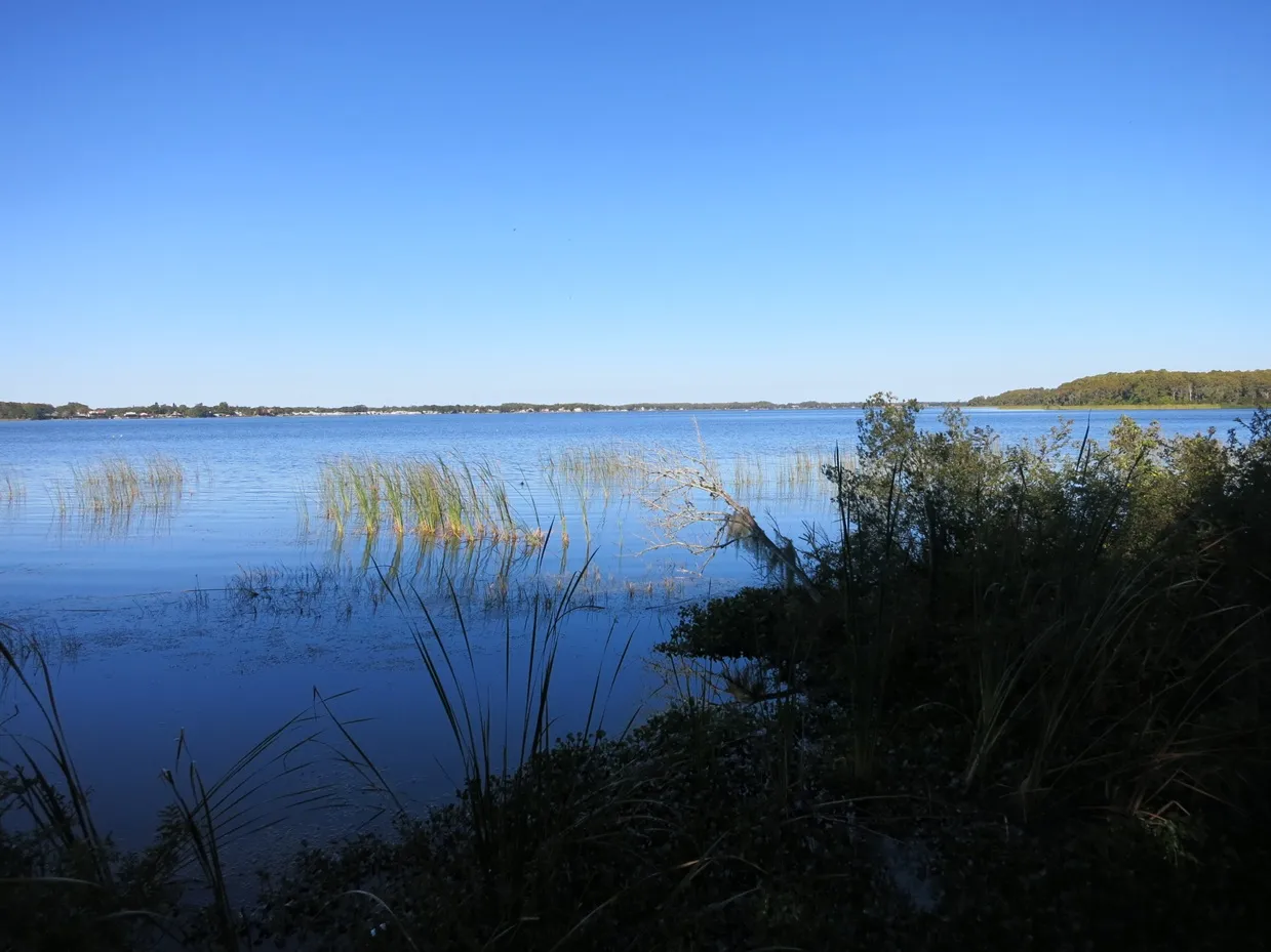 Lake Tarpon, taken from John Chestnut Sr. Park.